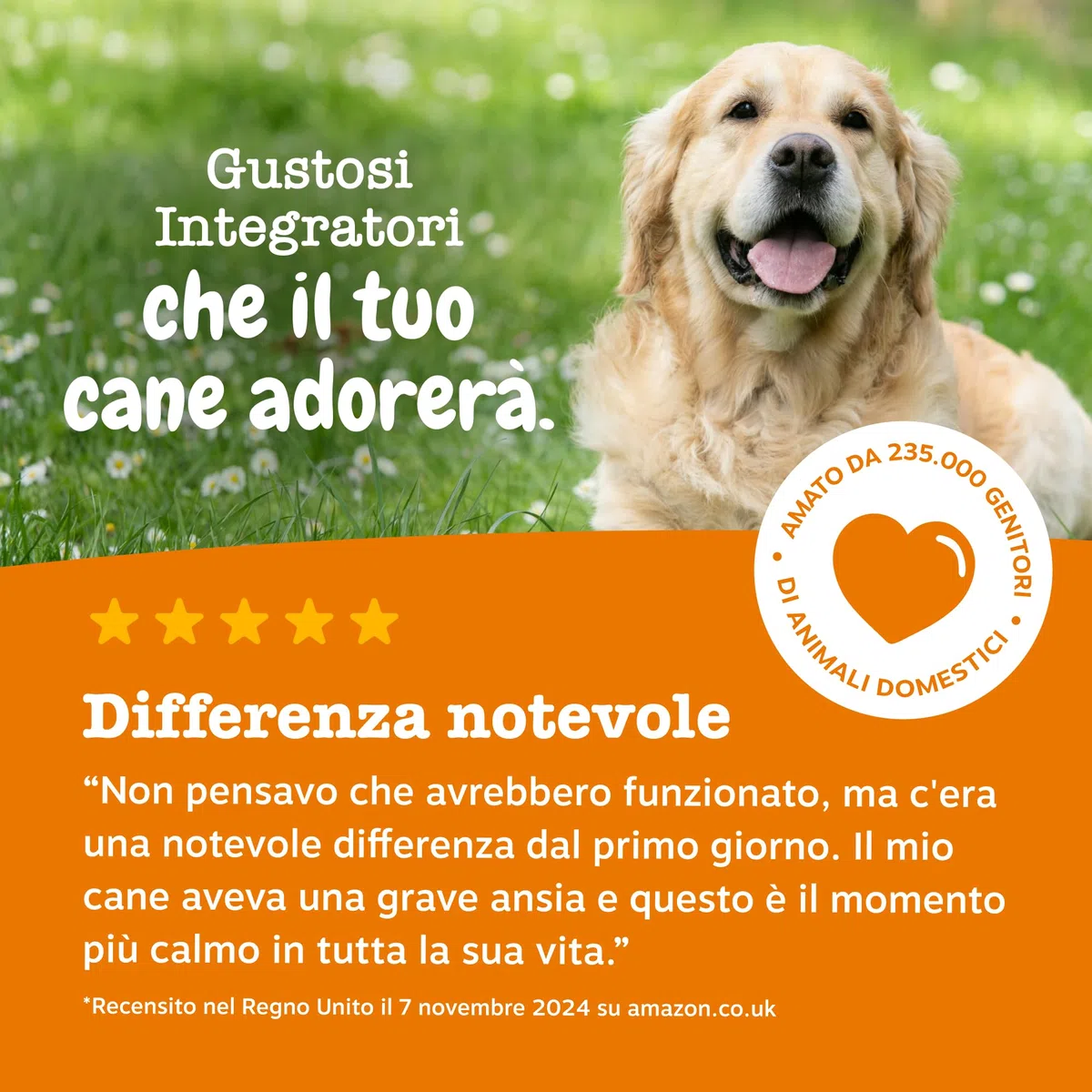 Zesty Paws Calming per Cani – Supporto per Ansia da Separazione, Stress e Iperattività – Favorisce Relax e Benessere – con Ashwagandha e L-Triptofano – Uso Quotidiano – 90 Bocconcini