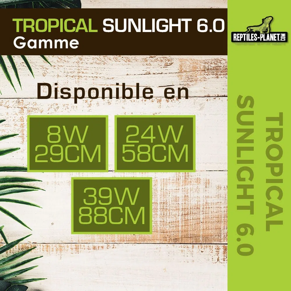 Rettili Planet T5 Tubo UVB 6.0 Tropicale Sunlight Illuminazione per Reptile/amphibien 8 W L 29 cm Diametro 16 mm