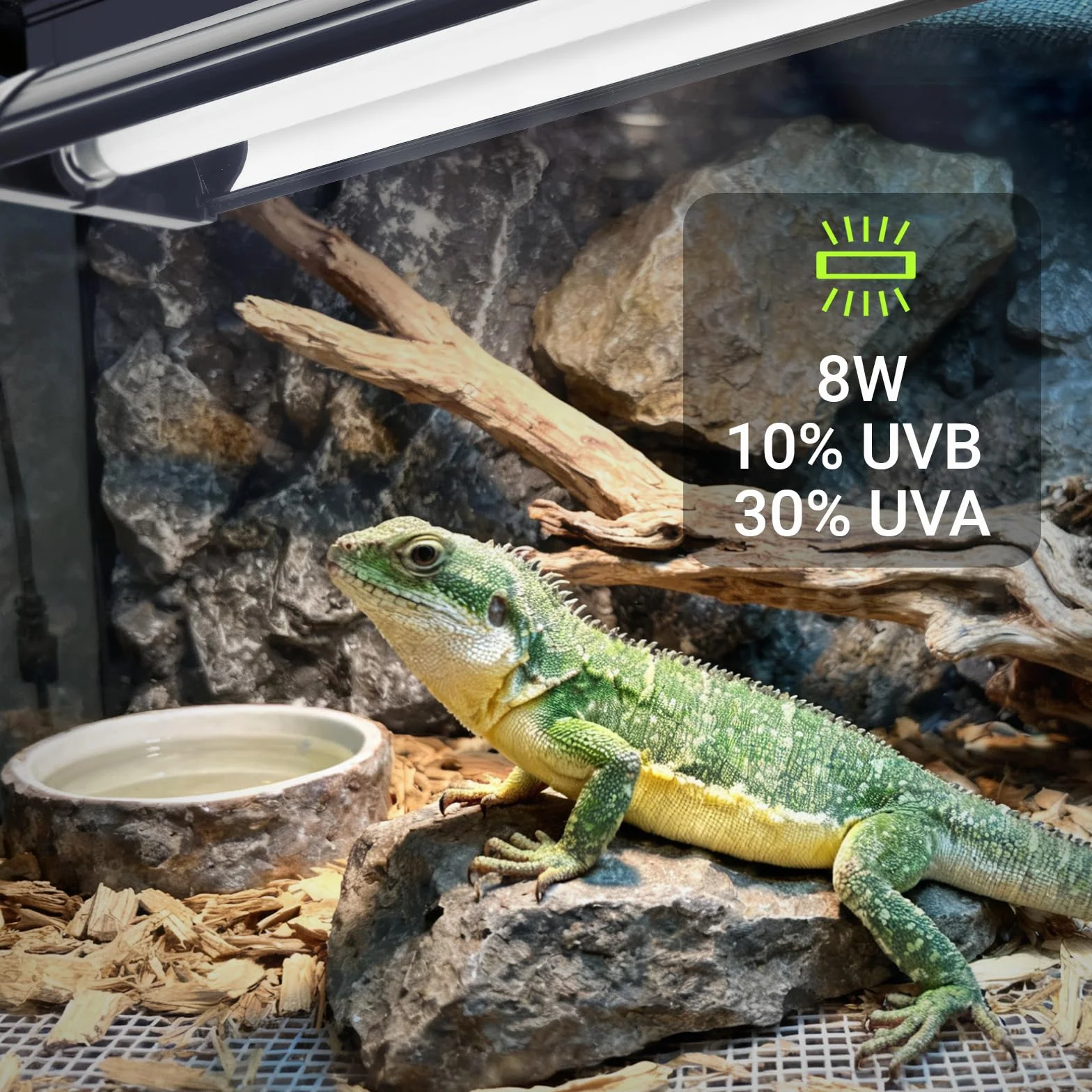 Kit per rettili UVB T5 da 8 W, 10% UVB e 30% UVA per rettili del deserto tropicale, dispositivo ad alta potenza da 31,5 cm con tubo UVB T5 10.0 per draghi barbuti, lucertola, tartaruga e