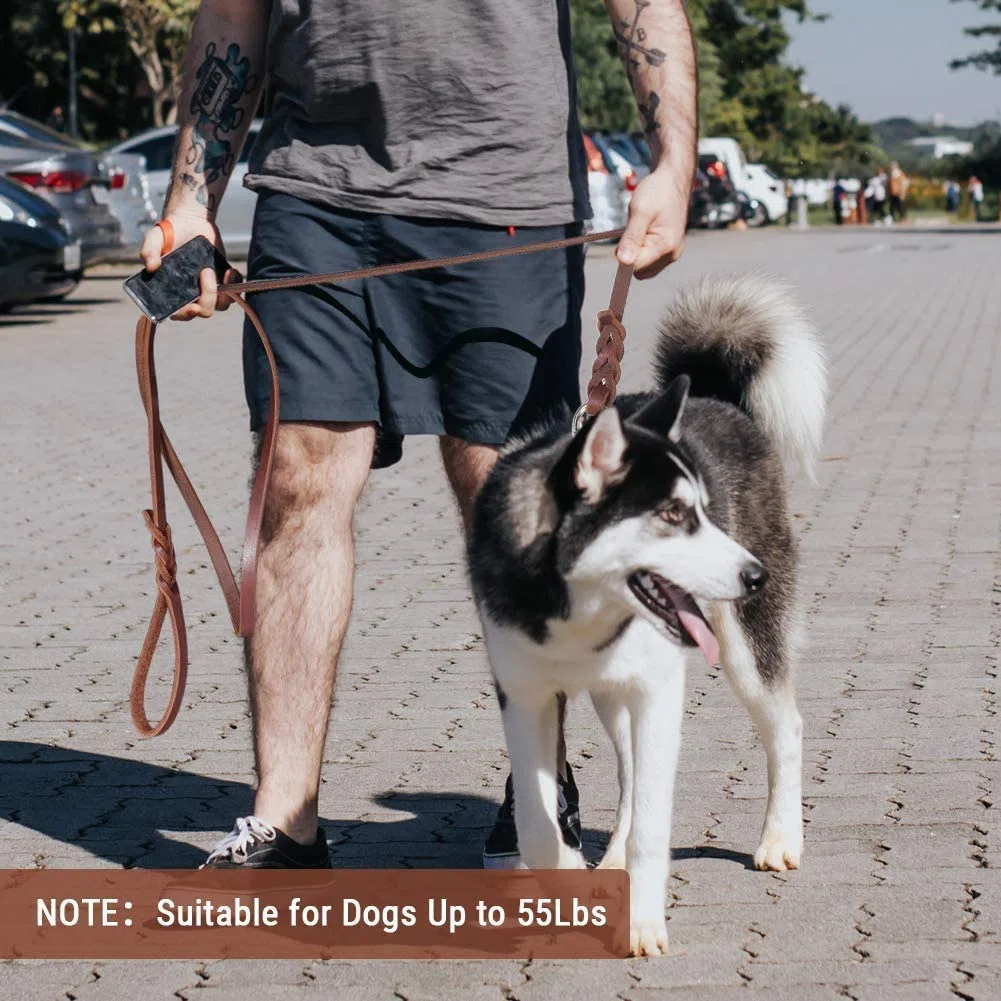 Guinzaglio del Cane, Corda di Cuoio della Cintura di Sicurezza Regolabile Corda Intrecciata per Cani da Correre Jogging o Passeggiata (2,5x150 cm)