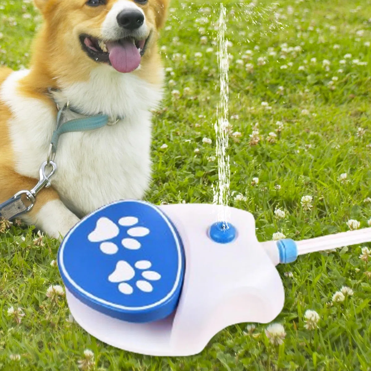 Pet Sprinkler – Dispenser interattivo per giochi d'acqua per cani | Fontana a pedale facile da collegare, giocattolo di idratazione per cortile esterno, gioco d'acqua di raffreddamento, fornitura di