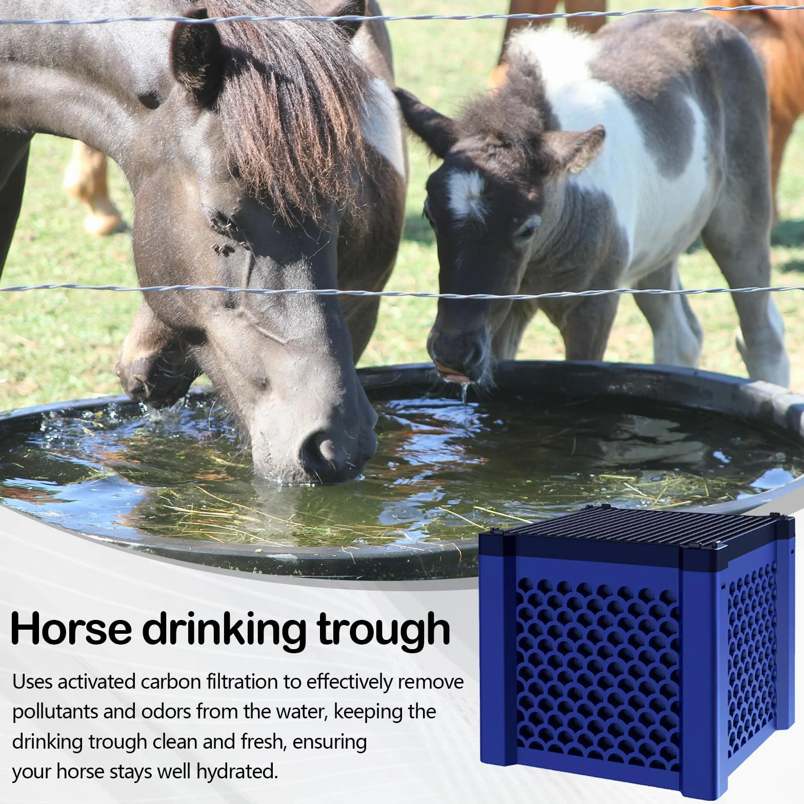 Set di 2 Cubetti Filtranti a Carbone Attivo, per Abbeveratoi per Cavalli Acquario e Laghetti, Filtro per Purificazione di Contaminanti e Odori, Filtro a Carbone Attivo per Purificazione dell'acqua