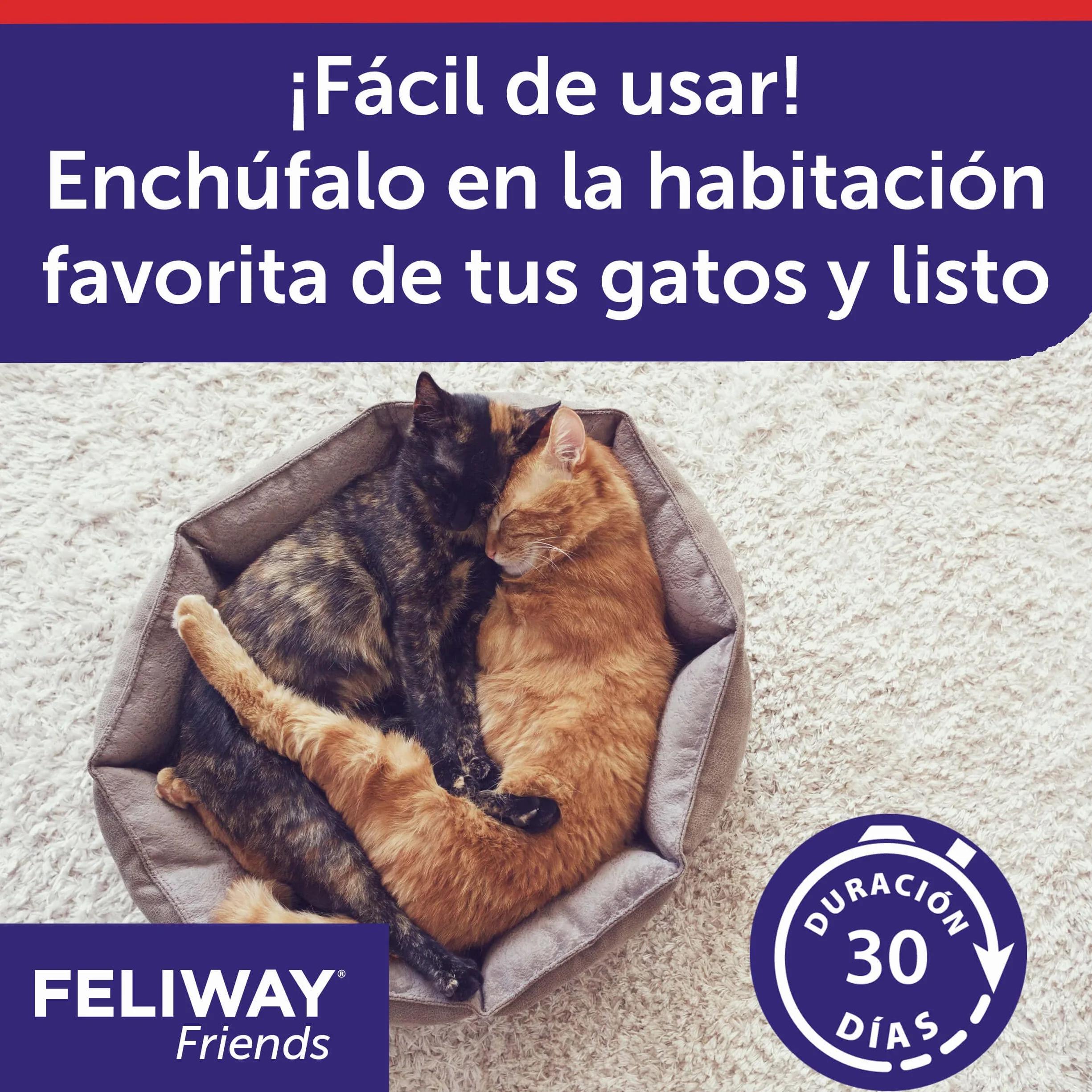 Feliway Friends Ricarica, 48 ml, 3 pezzi