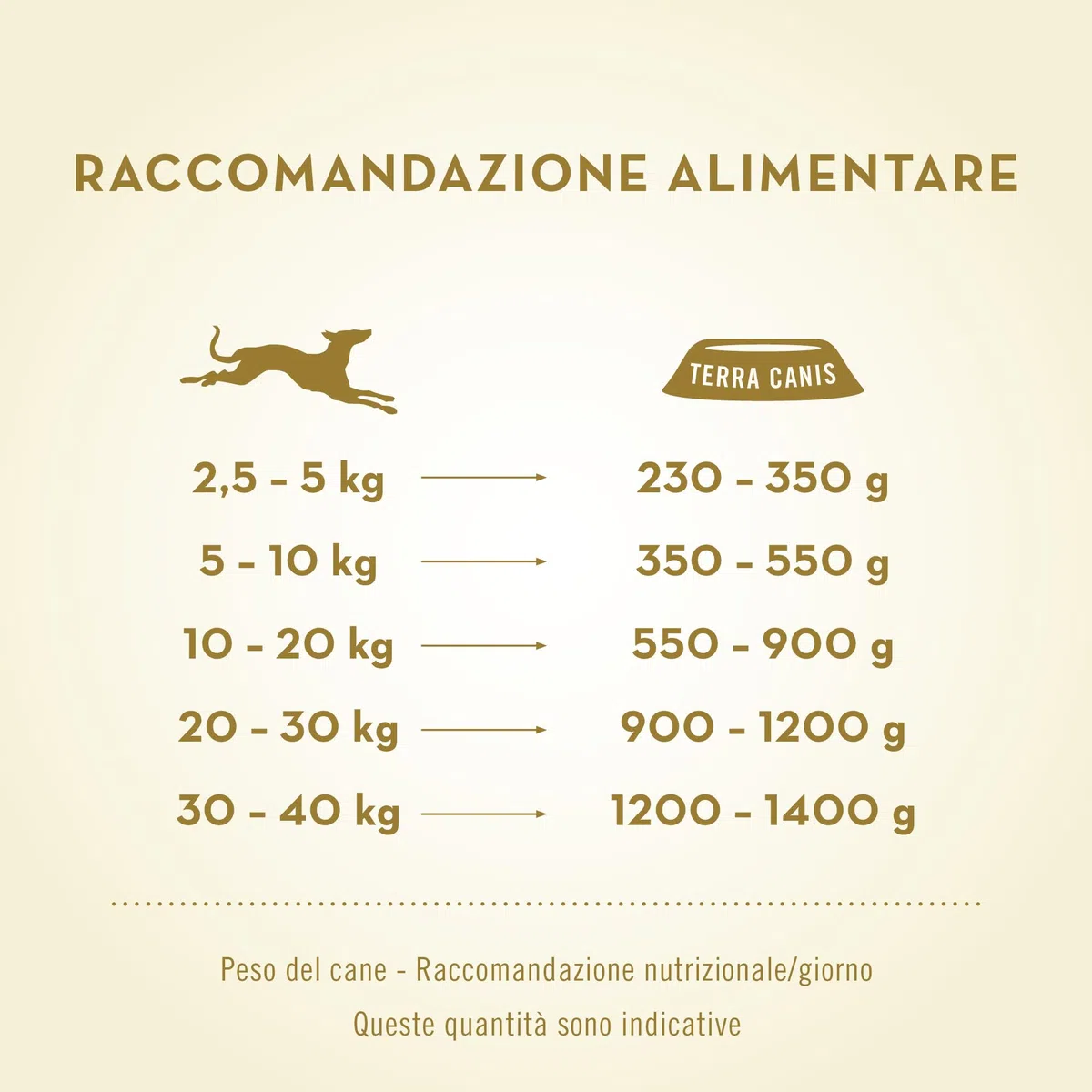 Terra Canis Manzo, carota & riso integrale - Alimento umido Classic, 12x200g I Alimento premium per cani con ingredienti di autentica qualità human-grade al 100% I gluten-free