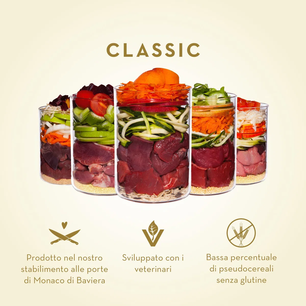 Terra Canis Manzo, carota & riso integrale - Alimento umido Classic, 12x200g I Alimento premium per cani con ingredienti di autentica qualità human-grade al 100% I gluten-free