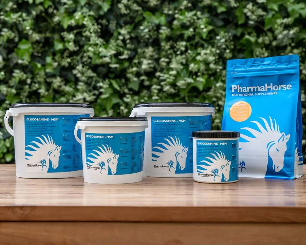 PharmaHorse Glucosamina Solfato e MSM | qualità Premium | Dosaggio Potente | 1000 Grammi