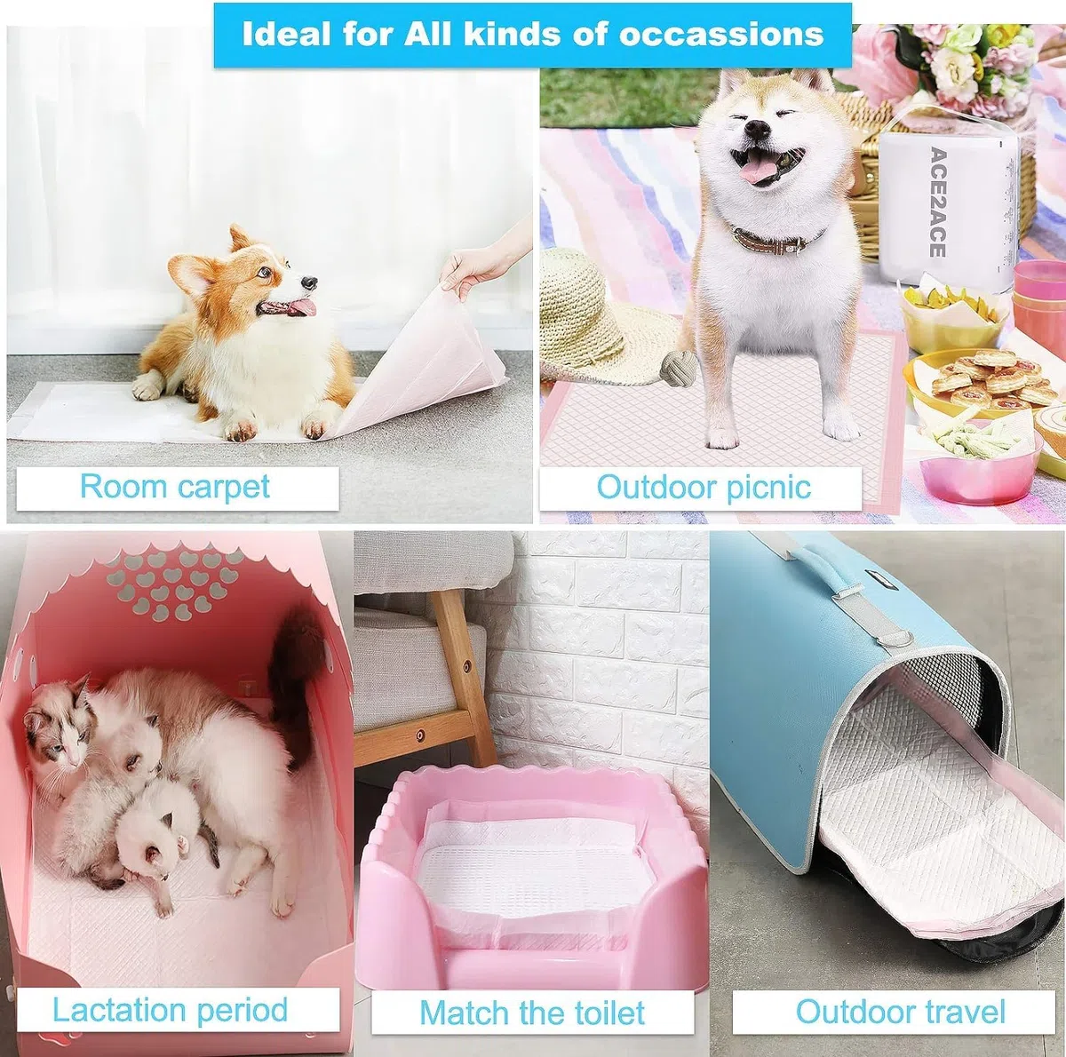 ACE2ACE Tappetini Igienici per Cani, 40 Pezzi Traversine Cani 60x60, Tappetini Assorbenti per Animali Domestici, Usato per Addestramento per Piccola o Media Cane e Cuccioli
