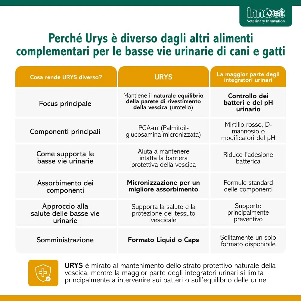Innovet Urys Liquid 60 ml Per il benessere delle basse vie urinarie del cane e del gatto, con palmitoil-glucosamina micronizzata (PGA-m)