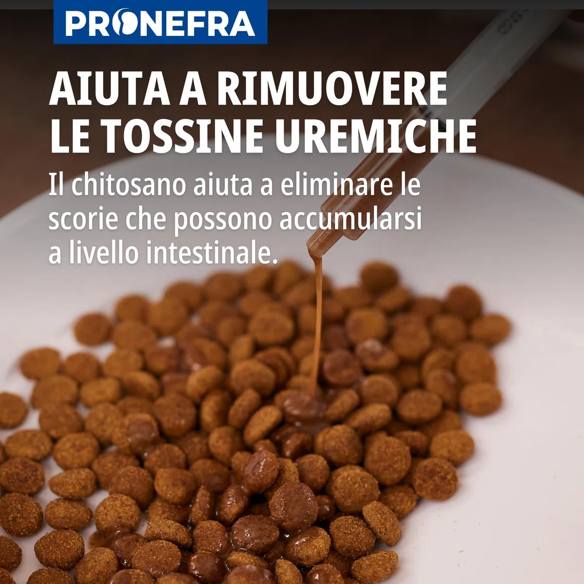 Pronefra per cani e gatti (taglia 60ml)