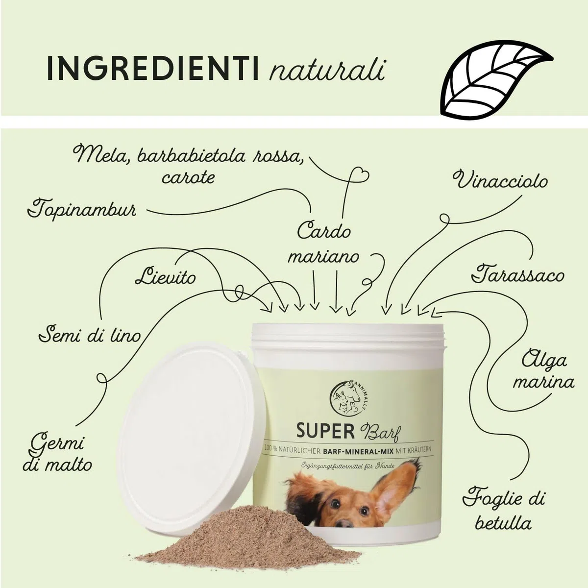 Barf Polvere Aggiuntiva per Cani 1 kg, Barf Complete Mix di Vitamine e Minerali per un'ottimale apporto di nutrienti - Integratore di Minerali per Cani con Verdure, Frutta e Vitamine