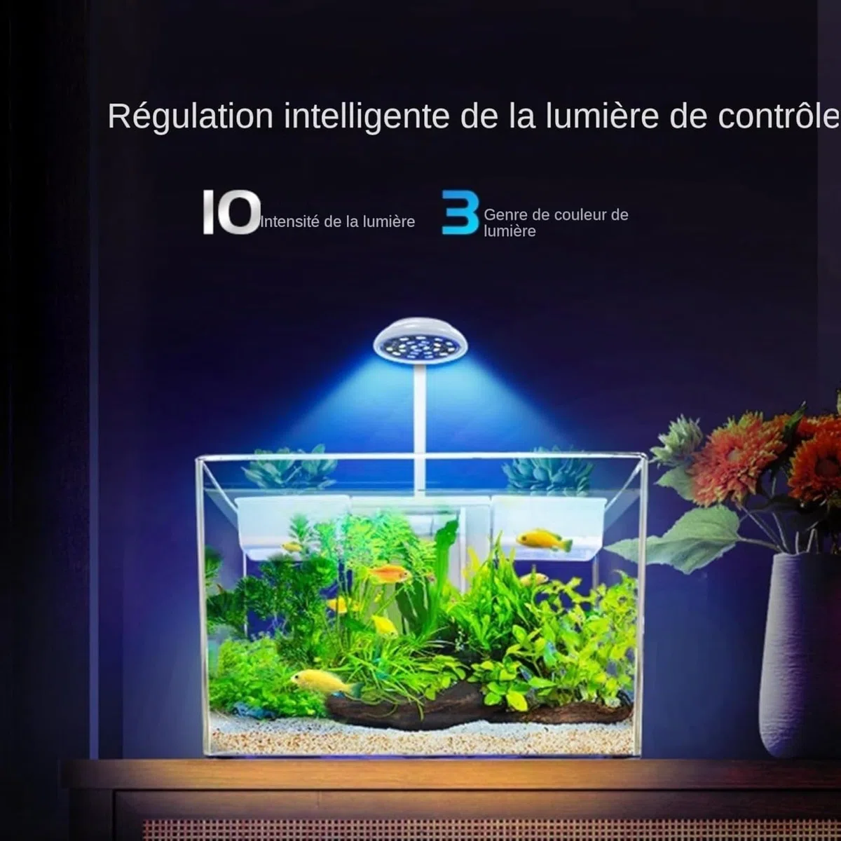 Aquarium, kit habitat per tartarughe con zona multifunzione e filtro acqua completo per tartarughe e animali acquatici, acquario per tartarughe con piattaforma di riposo, scatola di osservazione per