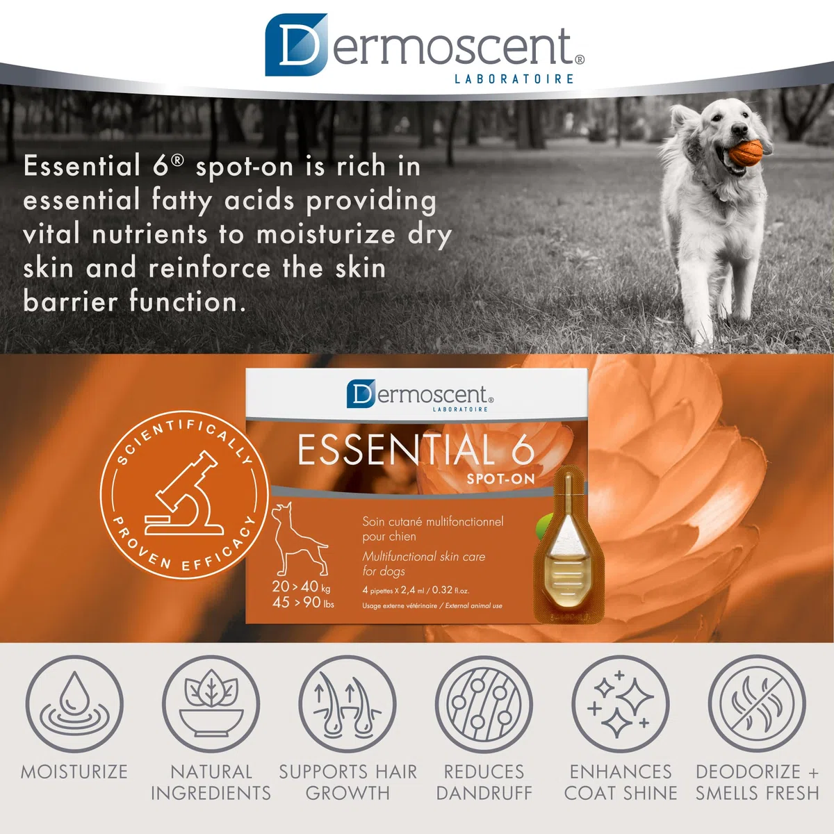 Bayer Dermoscent 6 Spot on Skin Care Extra Large per Cani da 45 a 40,8 Kilogram