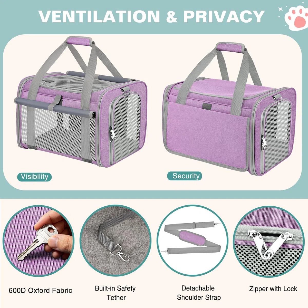 Trasportino Gatto Approvato Aereo Trasportino per Cani Pieghevole Borsa da Viaggio per Animali Domestici Portabile Borsa per Gatti con Tessuto Antigraffio e Cuscino Lavabile (Viola)
