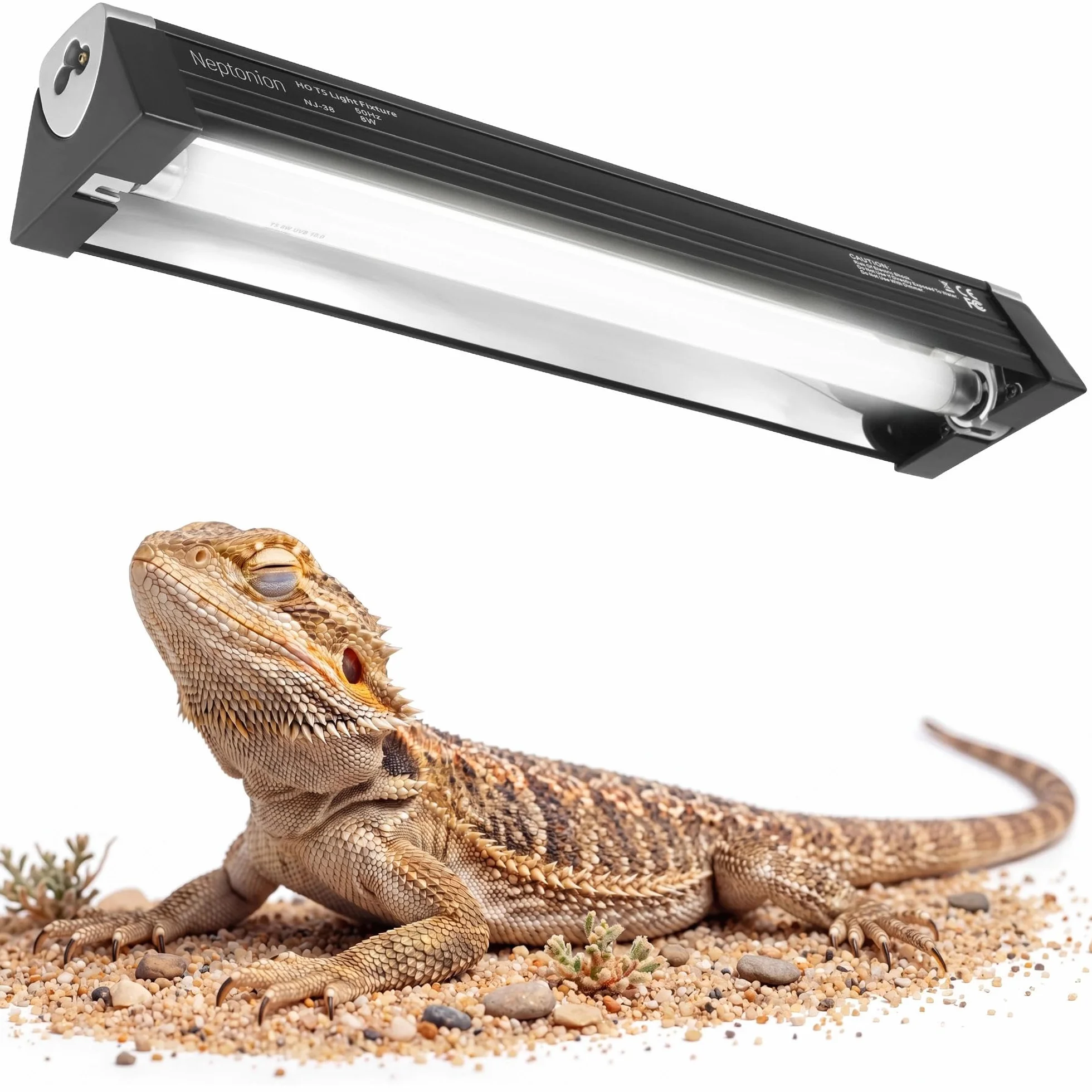 T5 Rettile UVB Light 12,5 Pollici Apparecchio con Lampadina UVB 10.0 - NEPTONION Cappuccio ad Alta Uscita per Terrari, Rettili Crogiolanti, Lucertole, Camaleonti, Iguane, Draghi Barbuti, 8W
