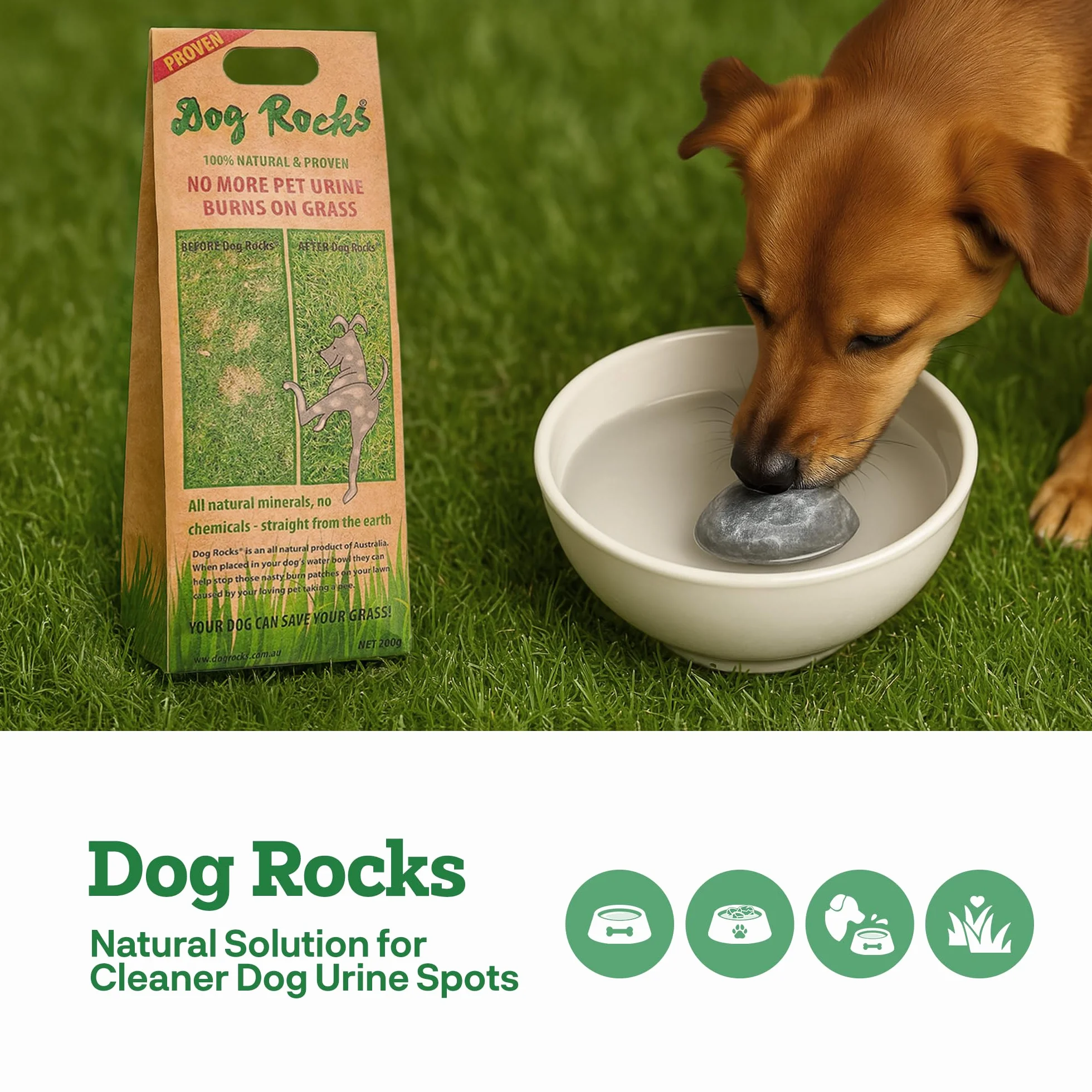 Dog Rocks Preventer di Urina per Cani, 600g