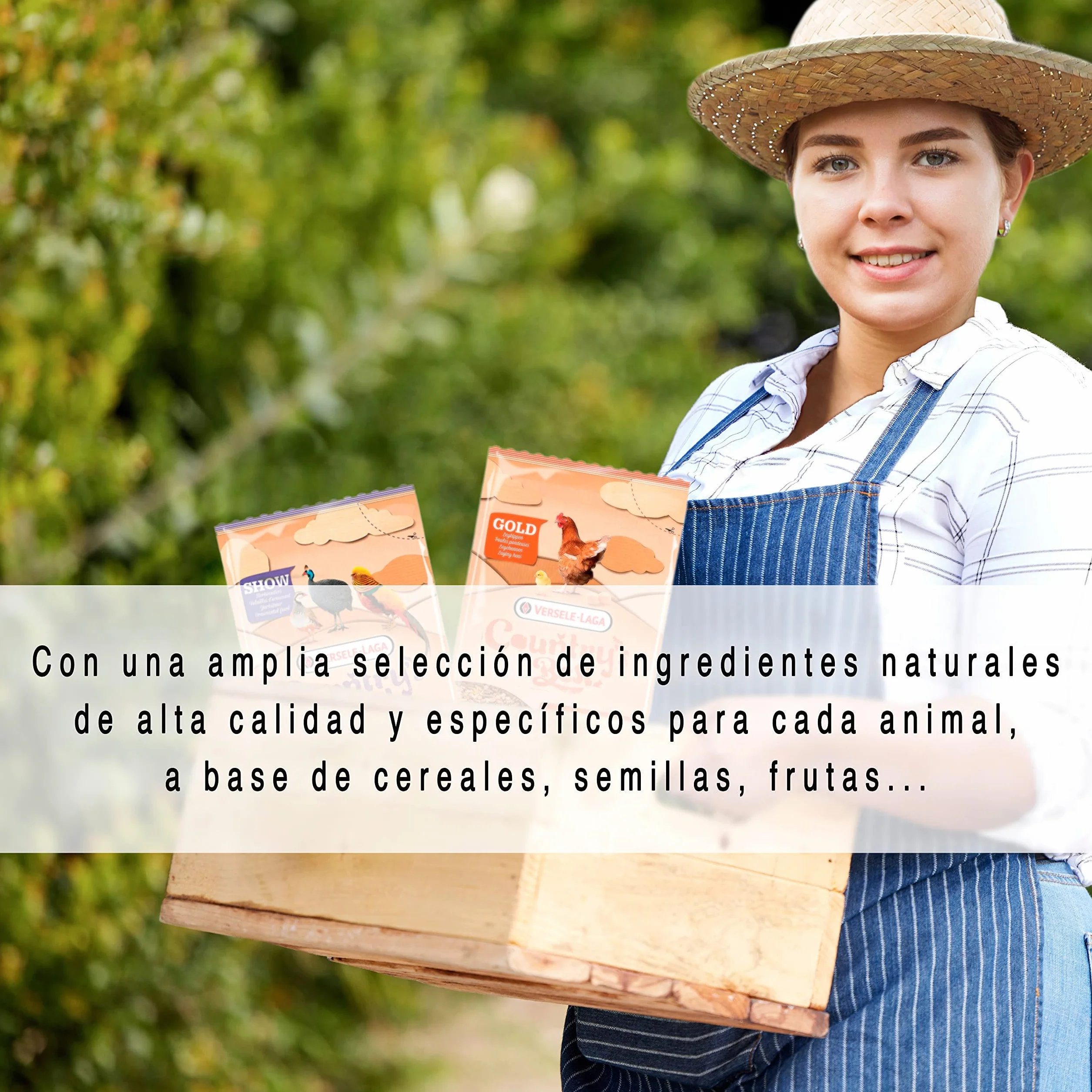 Versele-laga Cibo per uccelli Versele laga NUTRIBIRD P15 Tropical - AL NUTRIBIRD P15 Tropical 1K (Confezione da 2)