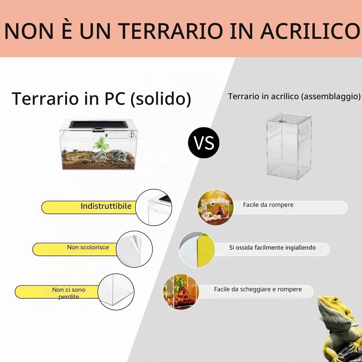 Reptile Growth Terrario Kit, 12" x 7"x 6" PC terrarium con vista completa visivamente accattivante, PC terrario rettili per Geco leopardino Drago barbuto Ragno lumaca insetto tarantola serpente