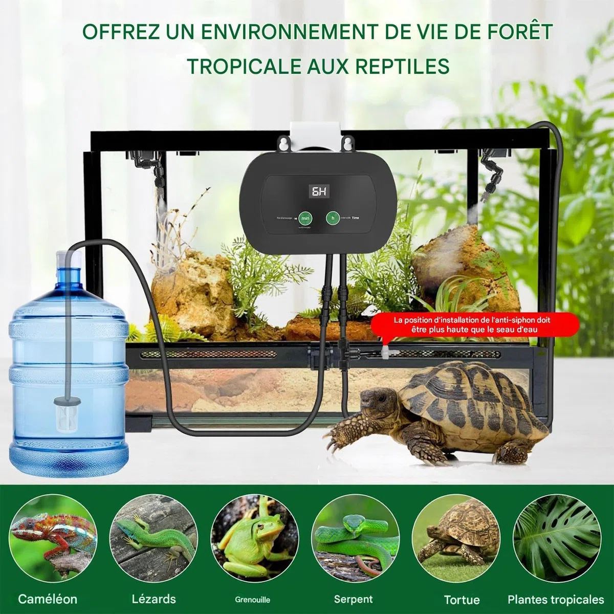 Umidificatore per rettili - Nebulizzatore automatico per terrario con timer, silenzioso con regolabile a 360 gradi per acquari, recinti a lucertole, e