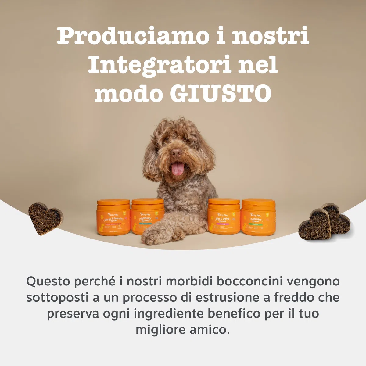 Zesty Paws Calming per Cani – Supporto per Ansia da Separazione, Stress e Iperattività – Favorisce Relax e Benessere – con Ashwagandha e L-Triptofano – Uso Quotidiano – 90 Bocconcini