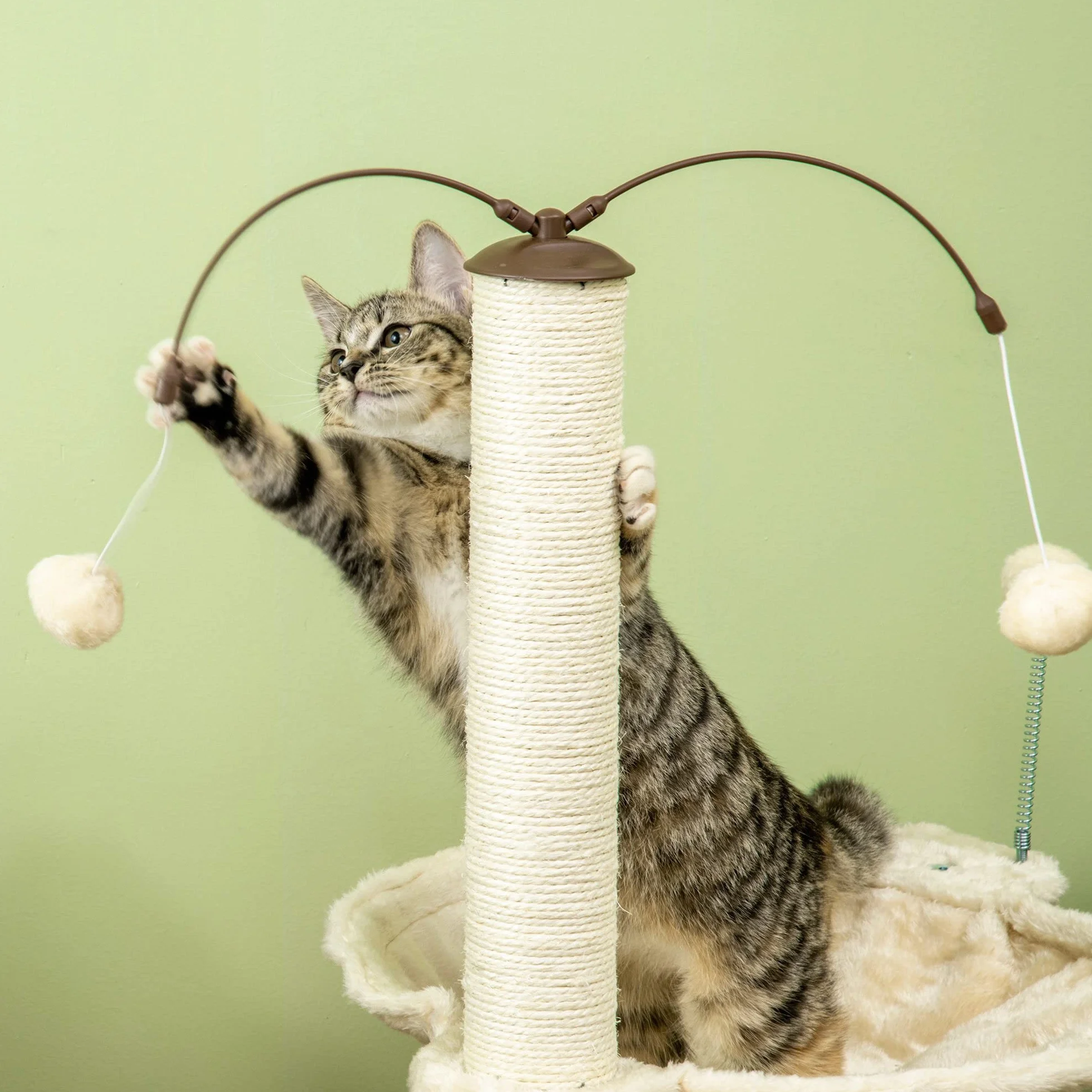 PawHut Albero Tiragraffi per Gatti max 5kg con Amaca, Palline da Gioco e Pali in Sisal, Torre per Gatti in MDF e Peluche, 53.5x53.5x90 cm, Beige