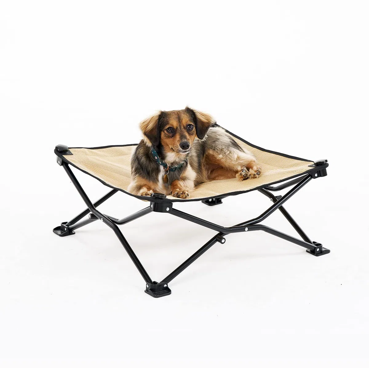 Coolaroo On The Go - Cuccia rialzata per animali domestici, standard, sabbia del deserto