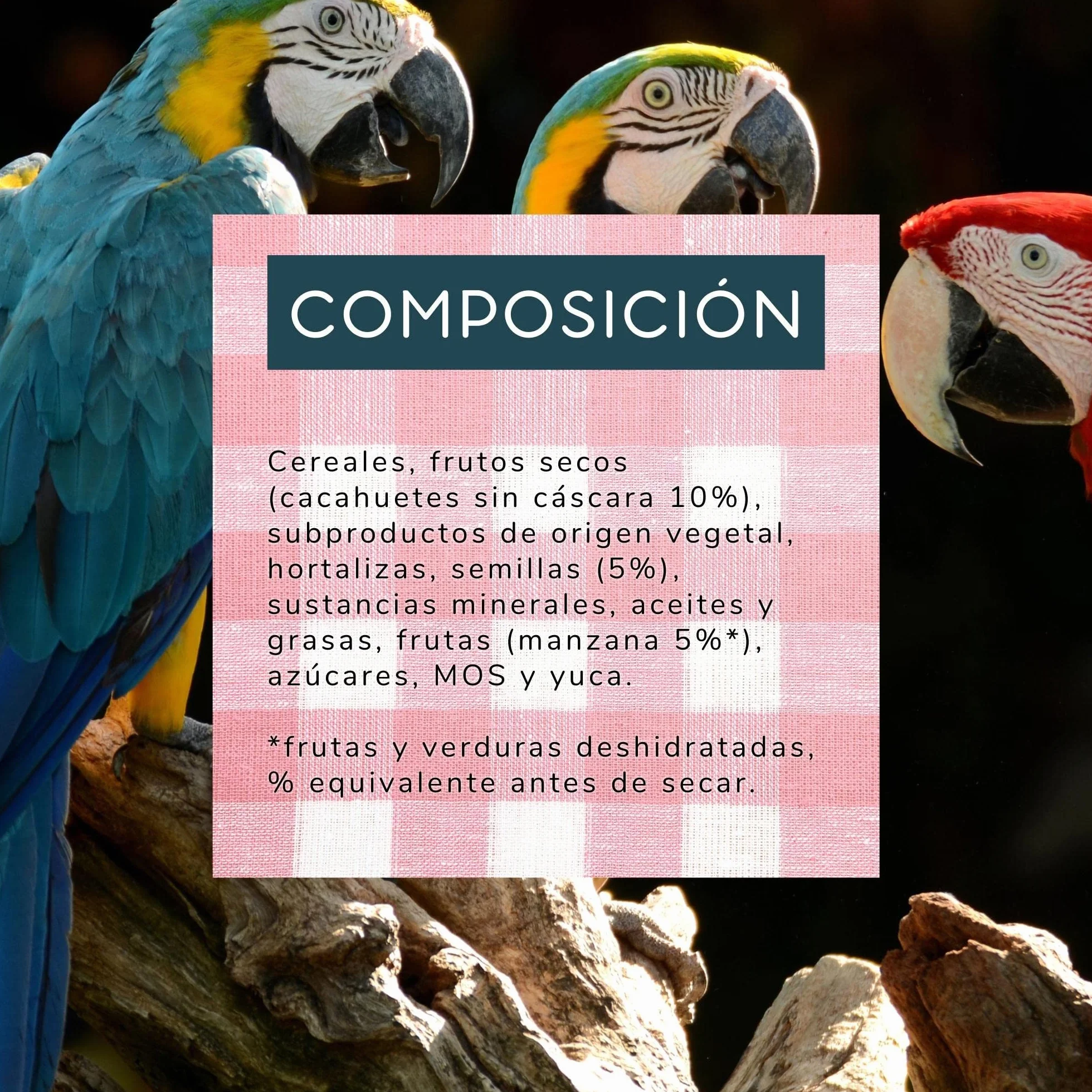 Versele-laga Cibo per uccelli Versele laga NUTRIBIRD P15 Tropical - AL NUTRIBIRD P15 Tropical 1K (Confezione da 2)