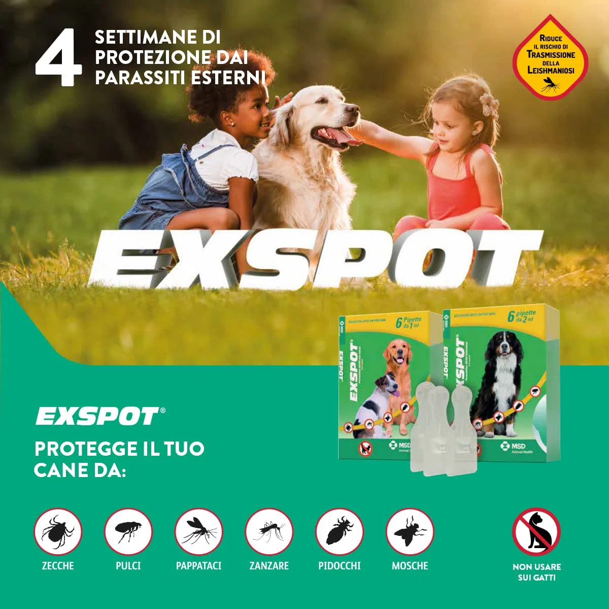 EXSPOT ANTIPARASSITARIO per Cani da 2,5 kg A 40 kg 6 Pipette ANTIPULCI ANTIZECCHE REPELLE ZANZARE Mosche E PIDOCCHI