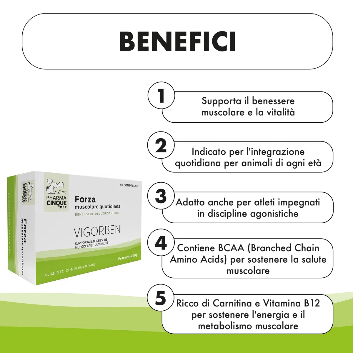 Pharmacinquepet – VIGORBEN Integratore Per Cani E Gatti, Mantiene La Massa Muscolare, Migliora La Forza E La Resistenza, Previene Gli Infortuni. Alta Appetibilità. 60 Compresse.