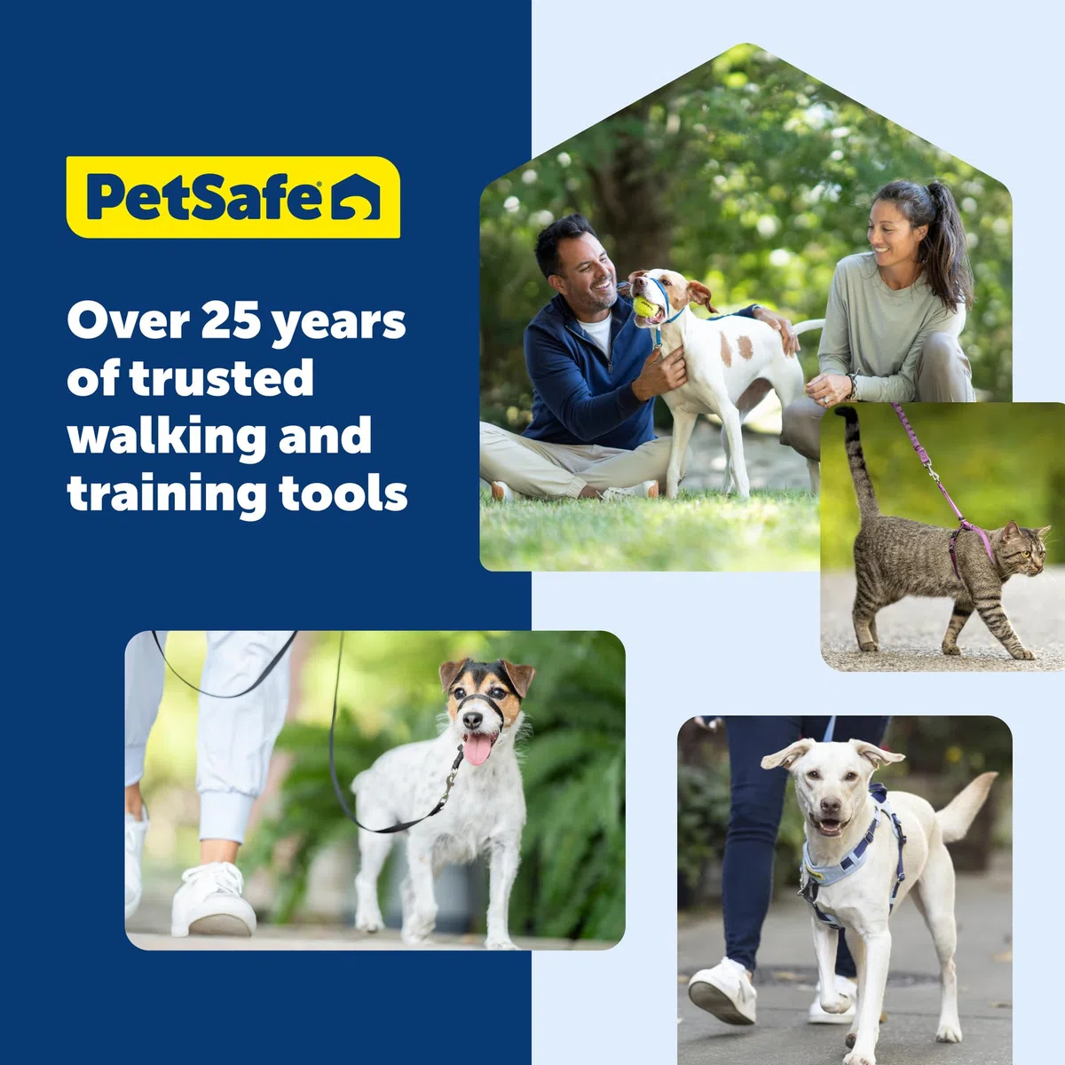 PetSafe Pettorina deluxe per cani Easy Walk, con anello a D per fermare la trazione, per allenamento e comportamento, riflettività, migliora la visibilità in condizioni di scarsa illuminazione, comoda