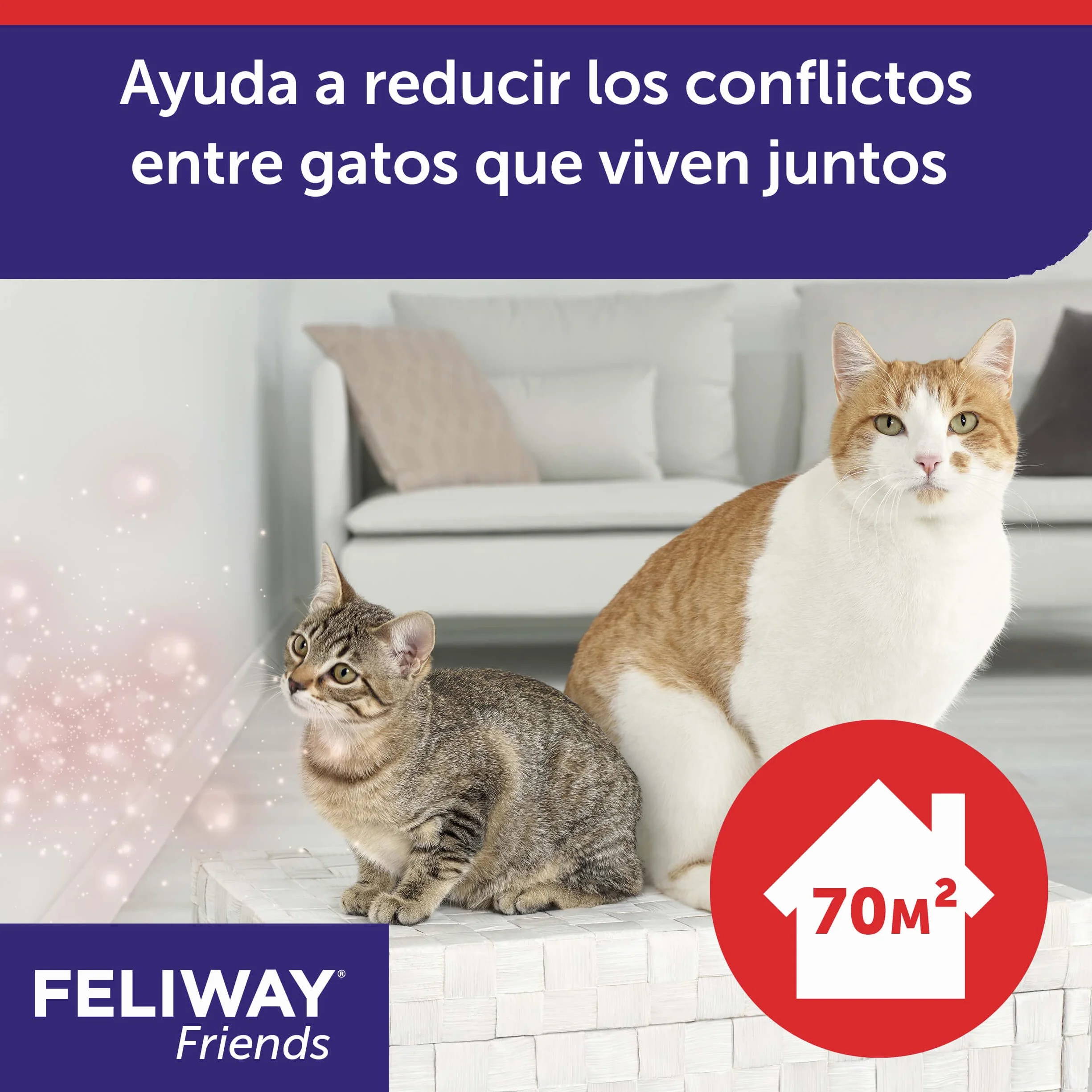 Feliway Friends Ricarica, 48 ml, 3 pezzi