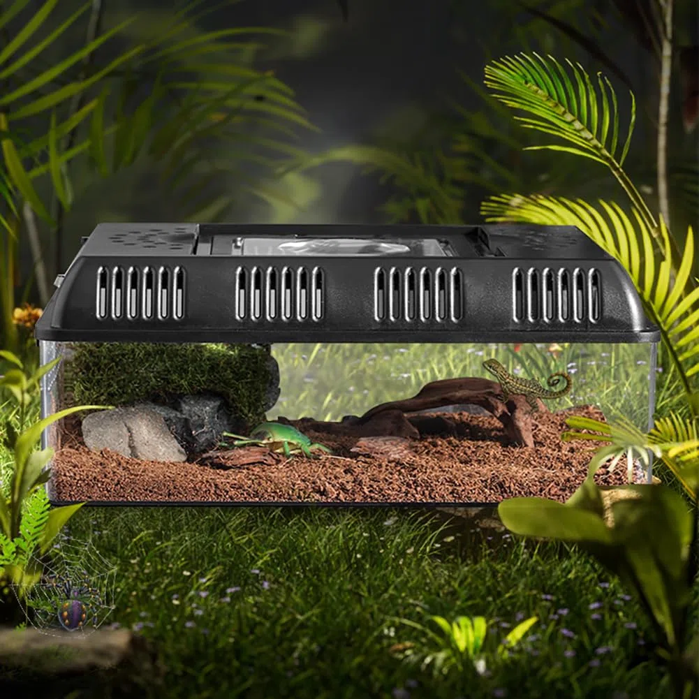 Terrario per Rettili Design Luce Incorporata - Scatola di Alimentazione Portatile Rettile 31,5 x 22 x 12,5 cm - Teca per Rettili - Contenitore Multiuso per Rettili, Anfibi, Topi e Insetti