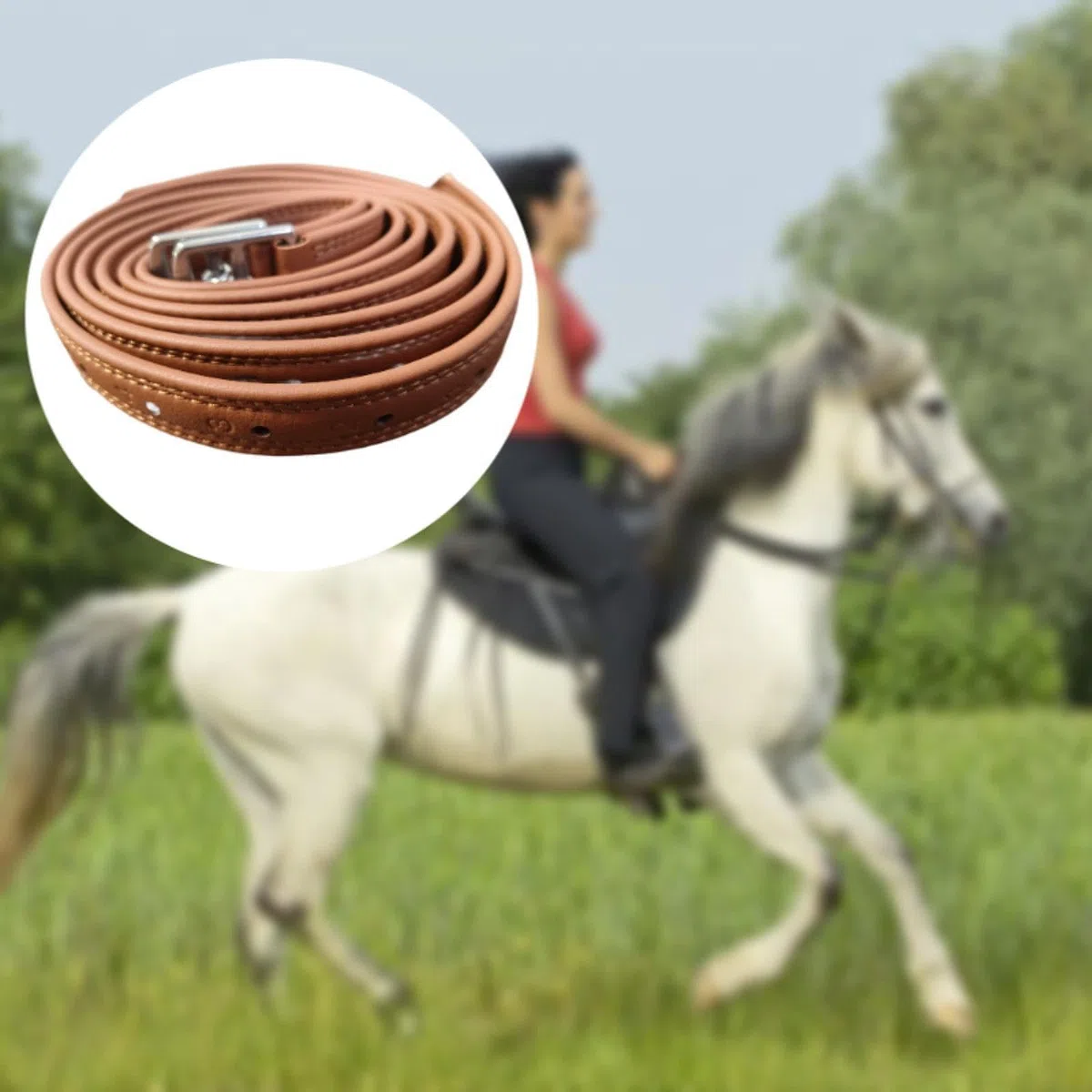 2 Pezzi Pelli di Staffa Inglese con Fibbie, Forniture di Lunghezza 55,12 Pollici, Attrezzatura per Cavalli di stabilità Premium