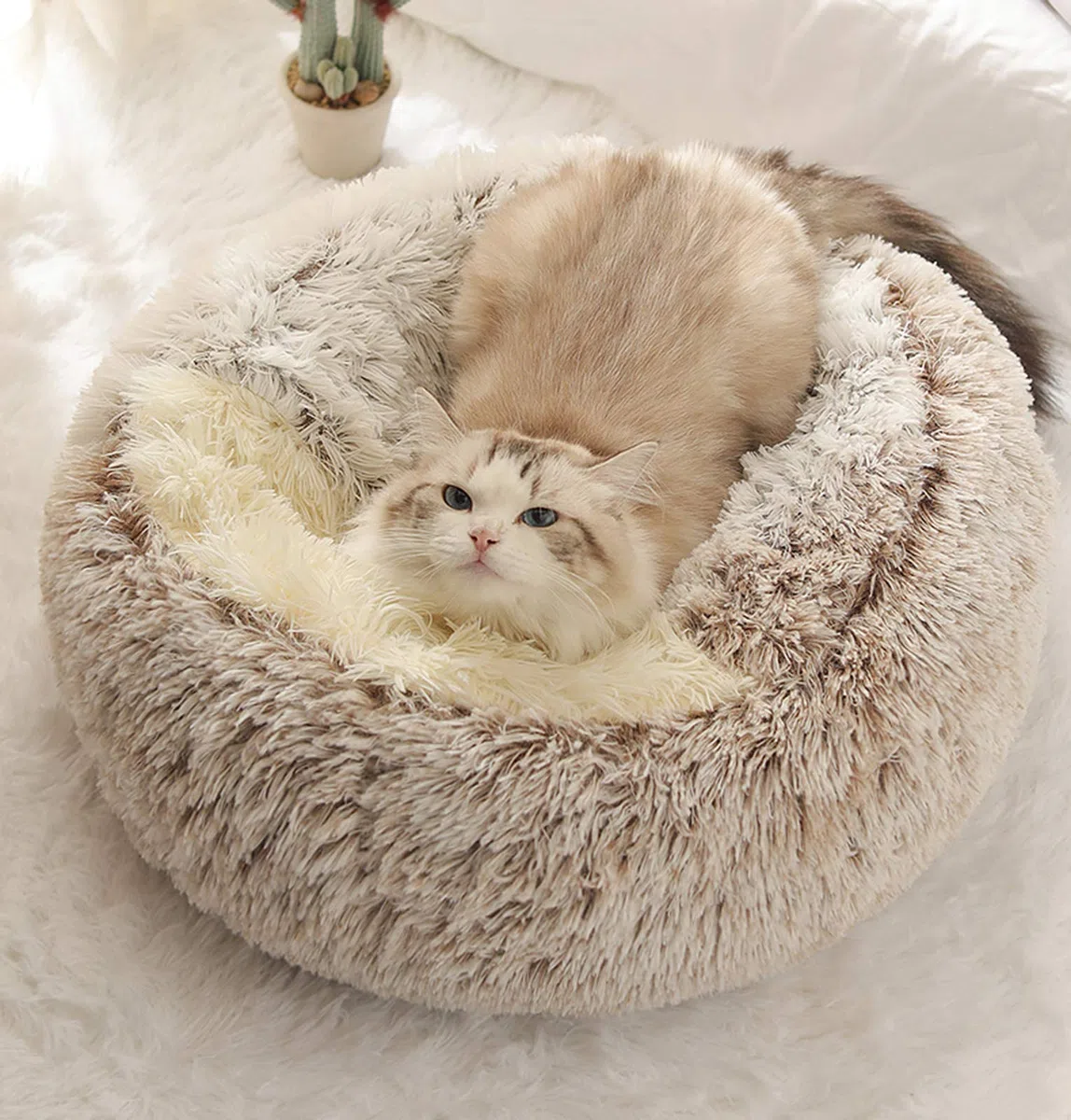 Sacco a Pelo del Gatto, Coperta di Peluche, Tappetino autoalimentabile per Animali Domestici, Morbida Tenda Antiscivolo, Lavabile (caffè a Pelo Lungo)