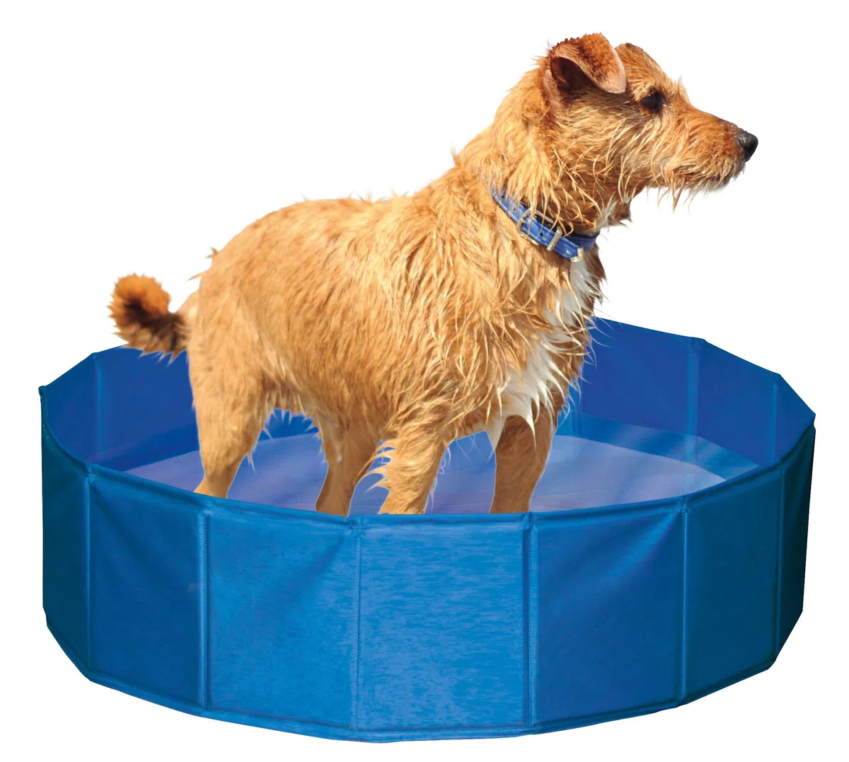 Kerbl, piscina per cani, 120 x 30 cm