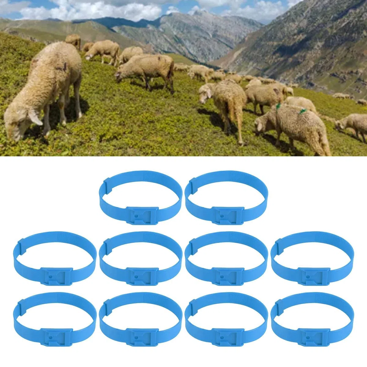 Set di 10 Collari per Pecore e Capre in PU, Regolabili con Campanello in Bronzo, Accessori per Piccoli Animali da Fattoria, Blu