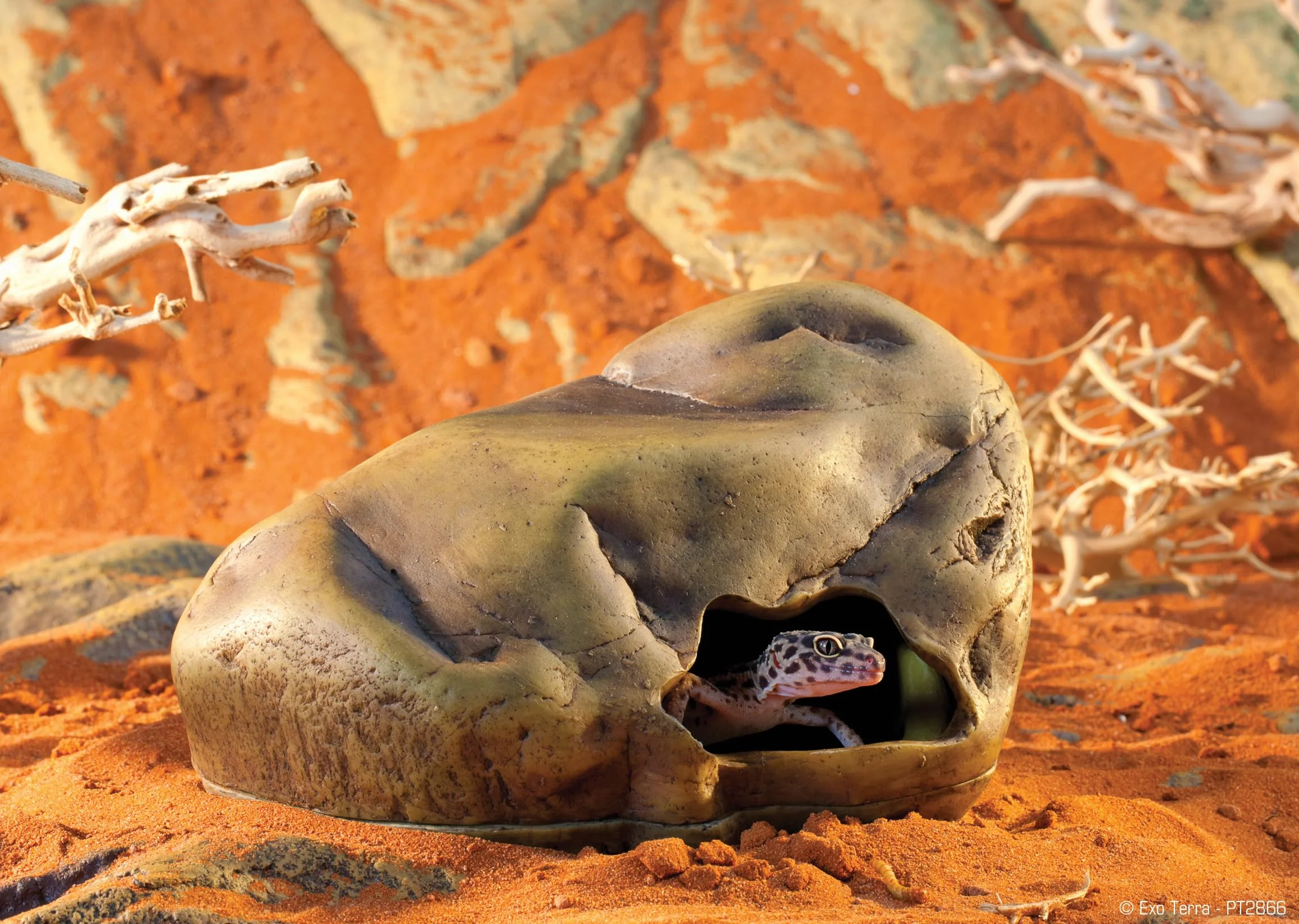 Exo Terra - Roccia per gechi