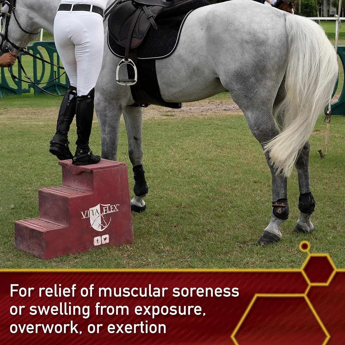 Thermaflex Liniment Gel 12 ounce Muscle and Joint Pain Relief for Horses
