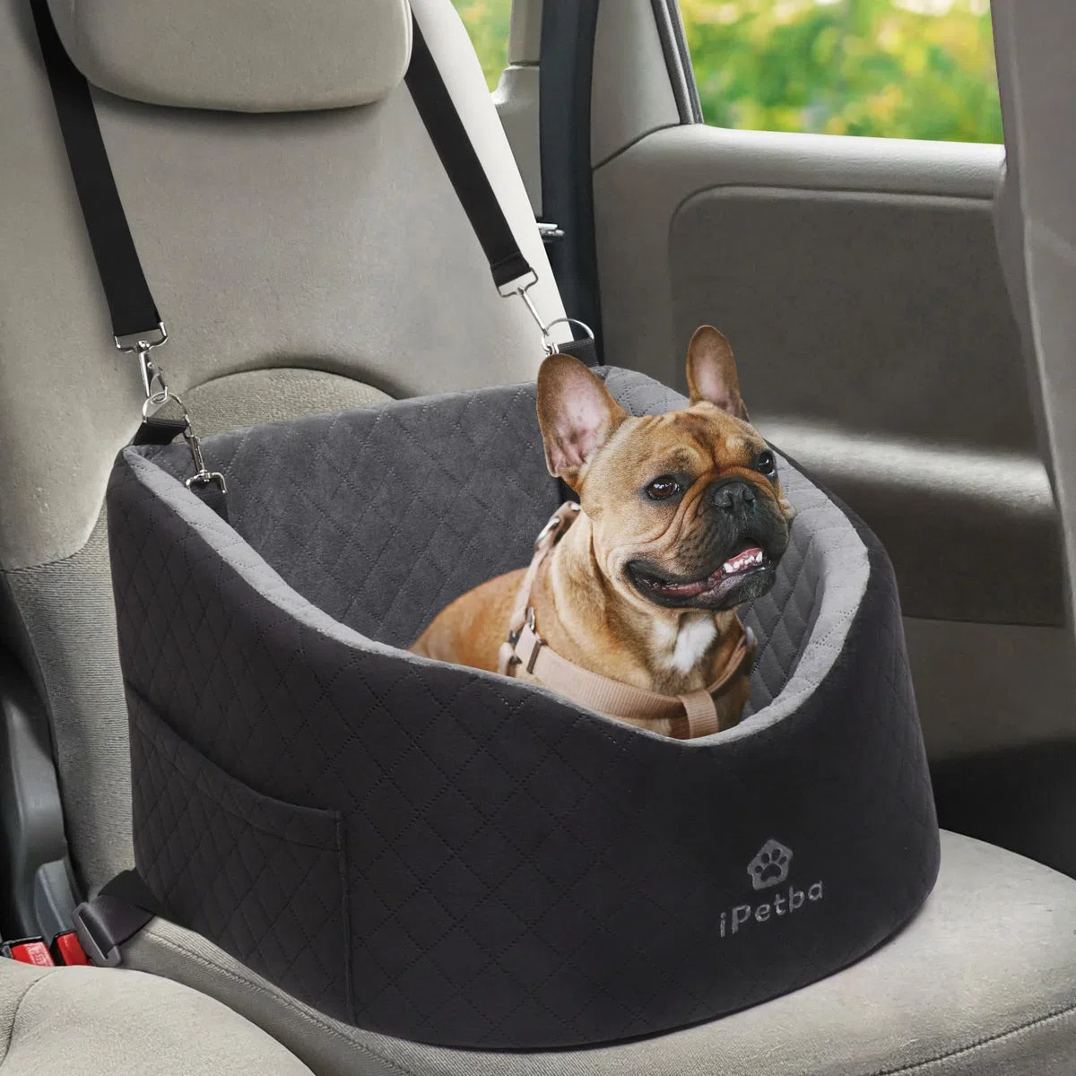 Seggiolino per Cani Auto per Piccoli & Medi Cani – Protezione Anti-Crash, Antiscivolo, Protegge l'Interno dell'Auto, Rimovibile & Lavabile
