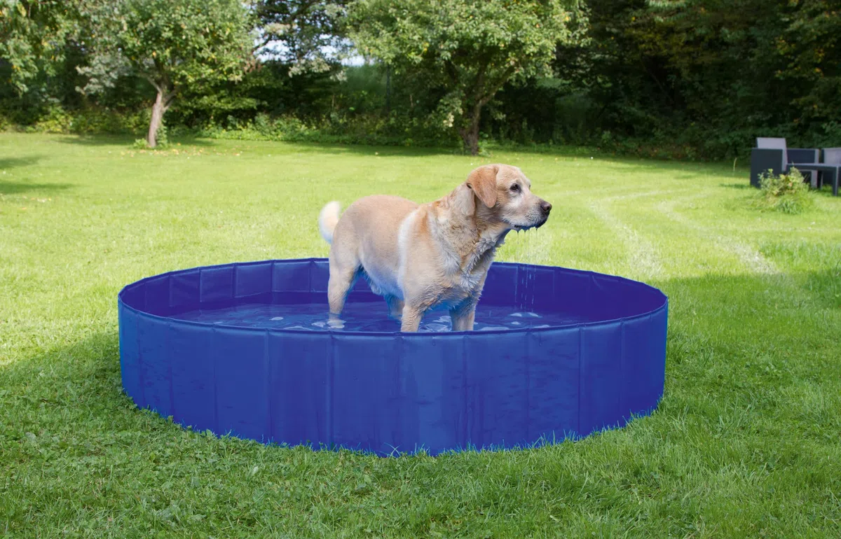 Kerbl, piscina per cani, 120 x 30 cm