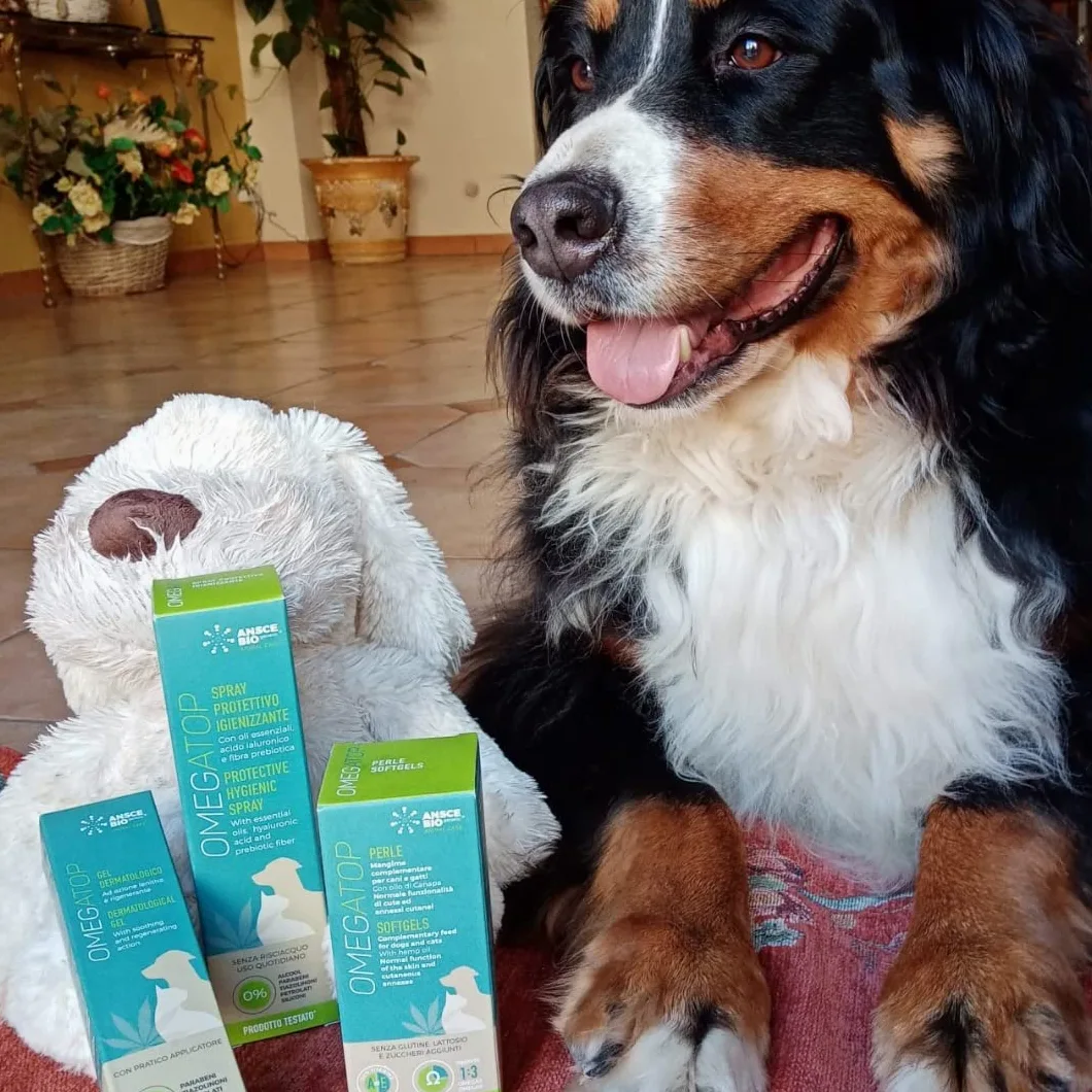 OMEGATOP Mangime Complementare Cani Omega 3-6 Prurito Allergie 90 Perle | Integratore vitamine per irritazioni cutanee, salute di pelo e mantello. senza glutine ad alta efficacia, anche per gatti