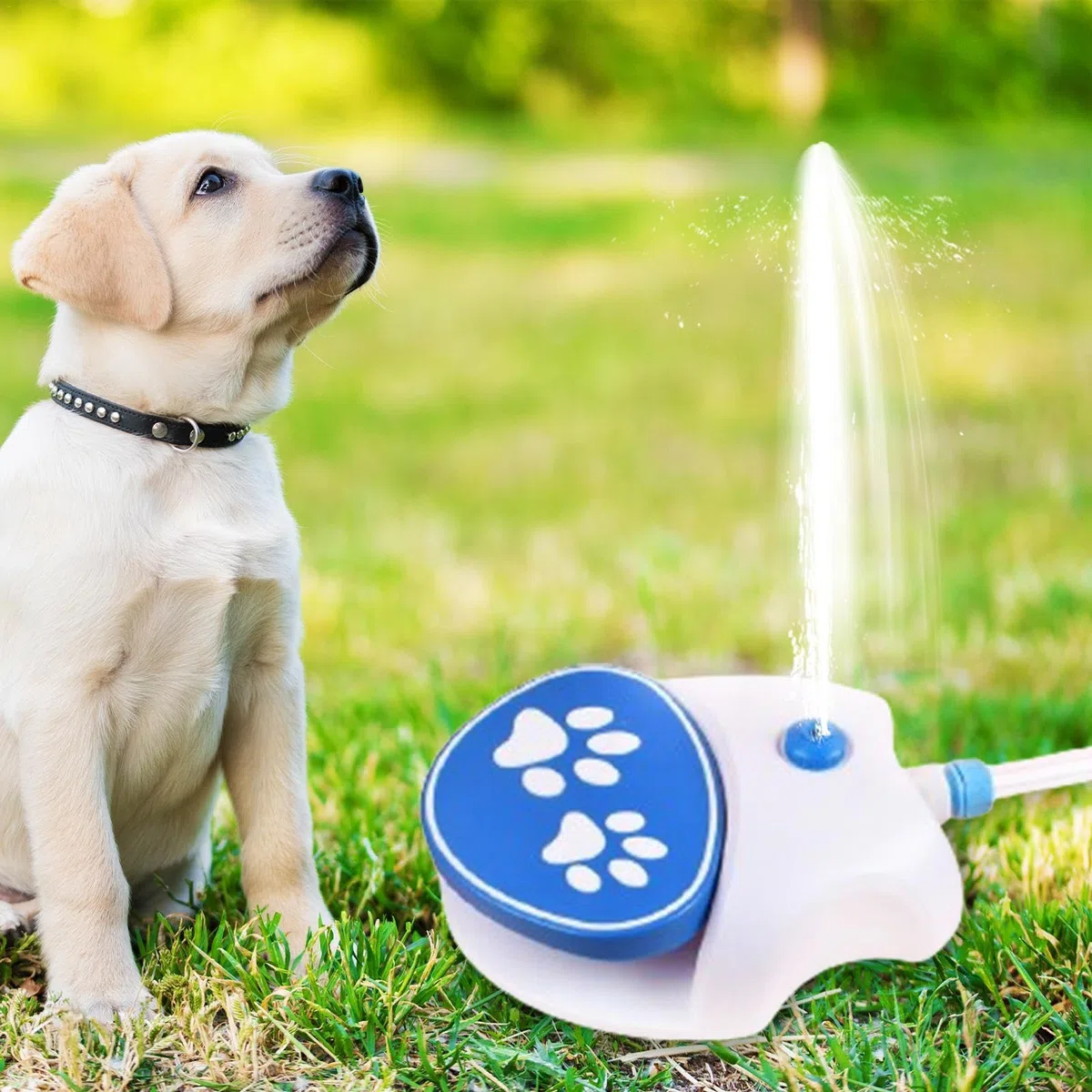 Fontana di acqua del cane, Giocattolo del cane della pressa, Spruzzatore del cane all'aperto, Giocattolo 'acqua del cane, Giocattolo 'acqua del cane, Giocattolo 'acqua del cane,