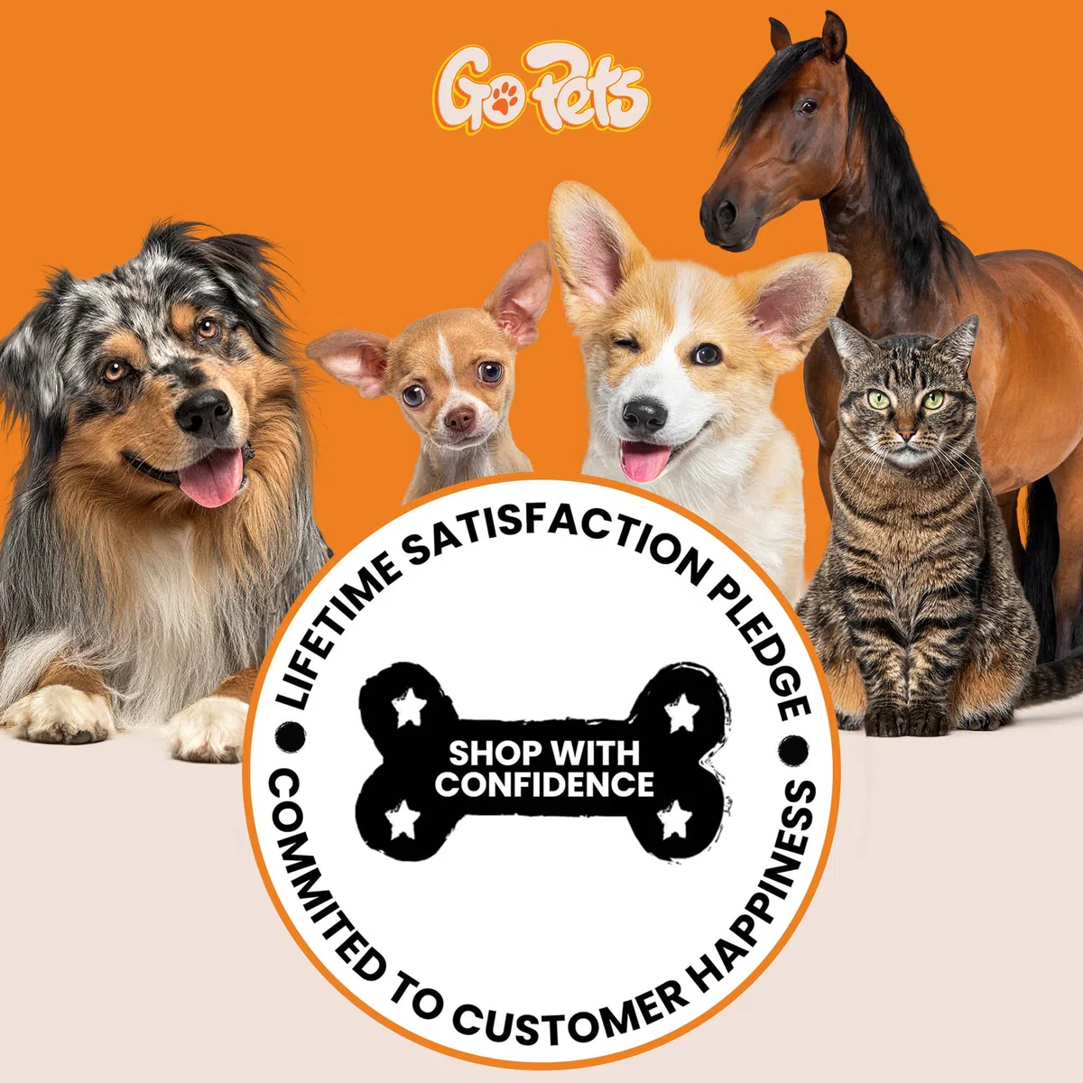 GoPets Pettine con rastrello professionale a 2 lati, per cani e gatti
