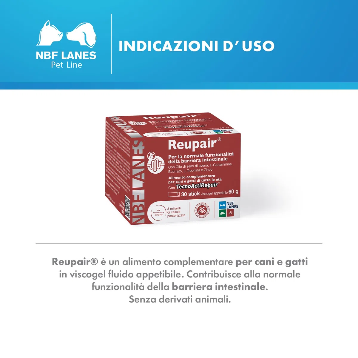 NBF LANES | Reupair Cane e Gatto, Viscogel 30 Stick da 2g (60 g), Per la Normale Funzionalità Barriera Intestinale