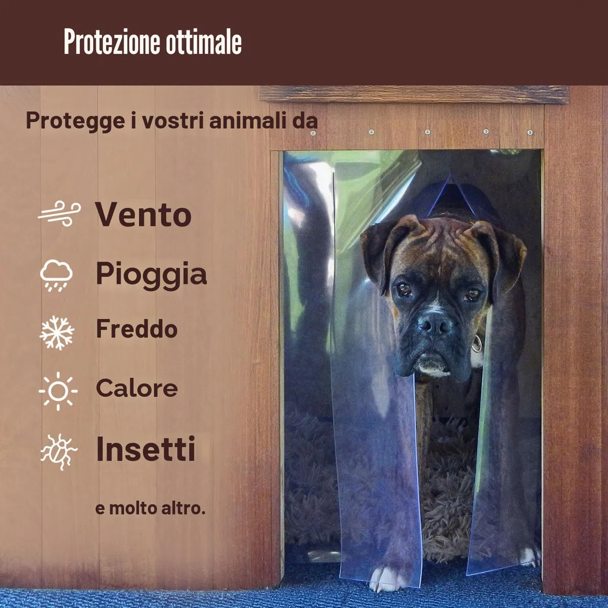 Zettl GmbH Tenda a lamelle per piccoli animali, LxH 40x60cm. Tenda a strisce in PVC per cucce per cani, gattaiole, stalle, aperture nel capanno da giardino, in officina.