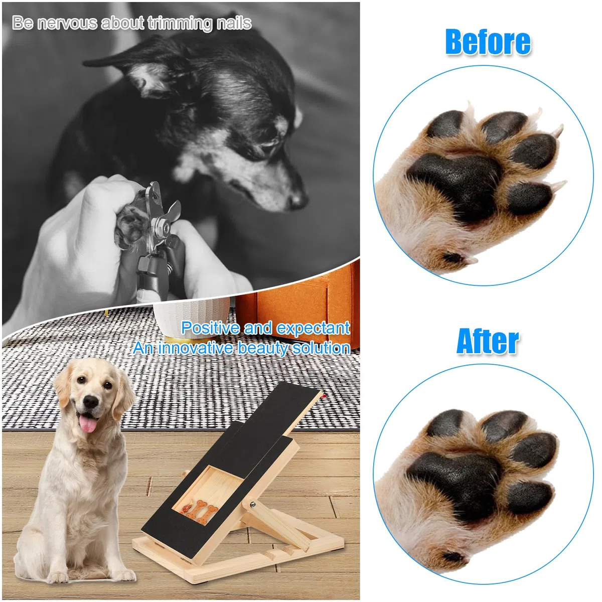 Grande Tappetino Antigraffio per Cani con Cassetto per Dolcetti per Cani, Tappetino Antigraffio per Unghie per Cani Tiragraffi per Cani per Una Facile Cura Delle Unghie