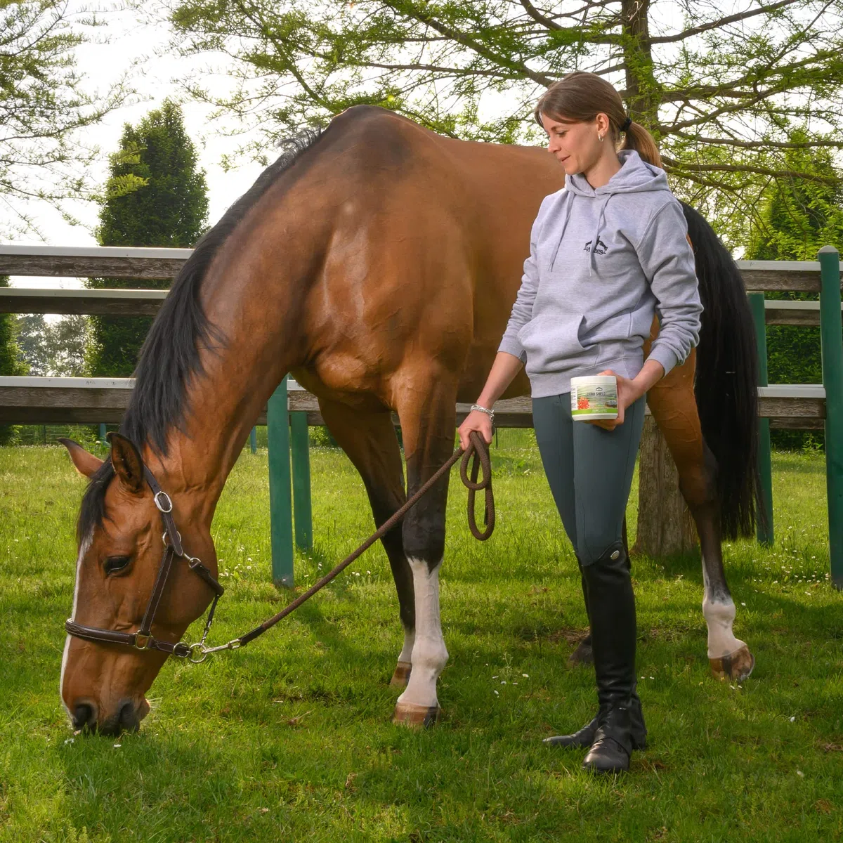 Veredus, Citro Shield Gel, Gel con azione protettiva alla citronella e geranio, studiato per le zone sensibili e delicate del cavallo - 1 barattolo da 500ml