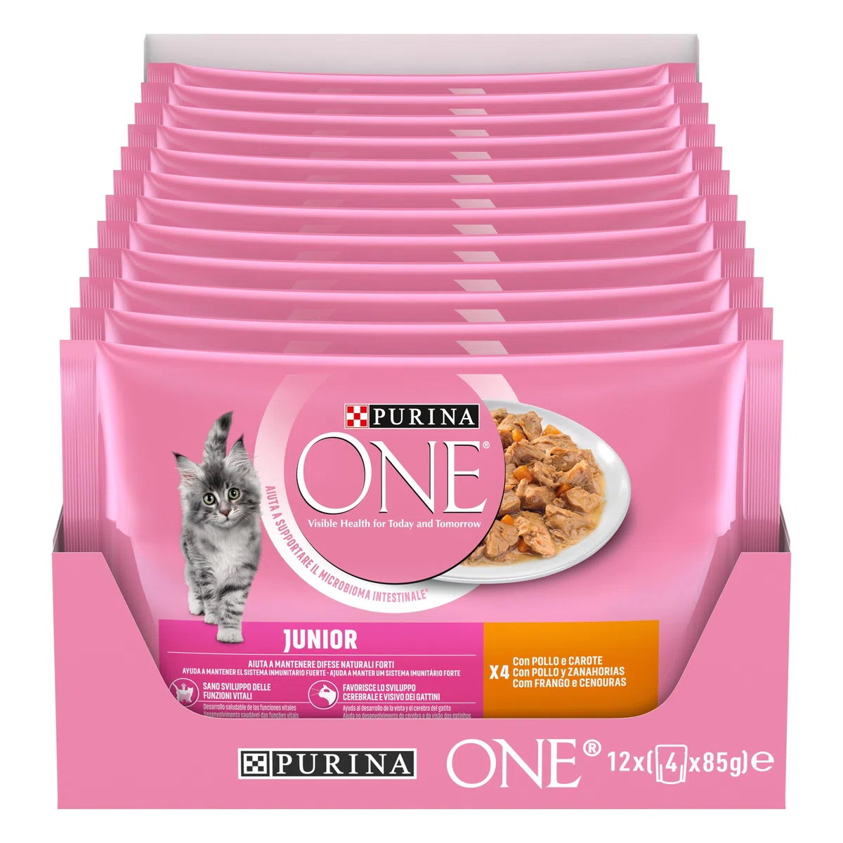 PURINA ONE Junior Cibo Umido per Gattini 1-12 Mesi Filettini con Pollo e Carote in Salsa 48 Buste da 85 g