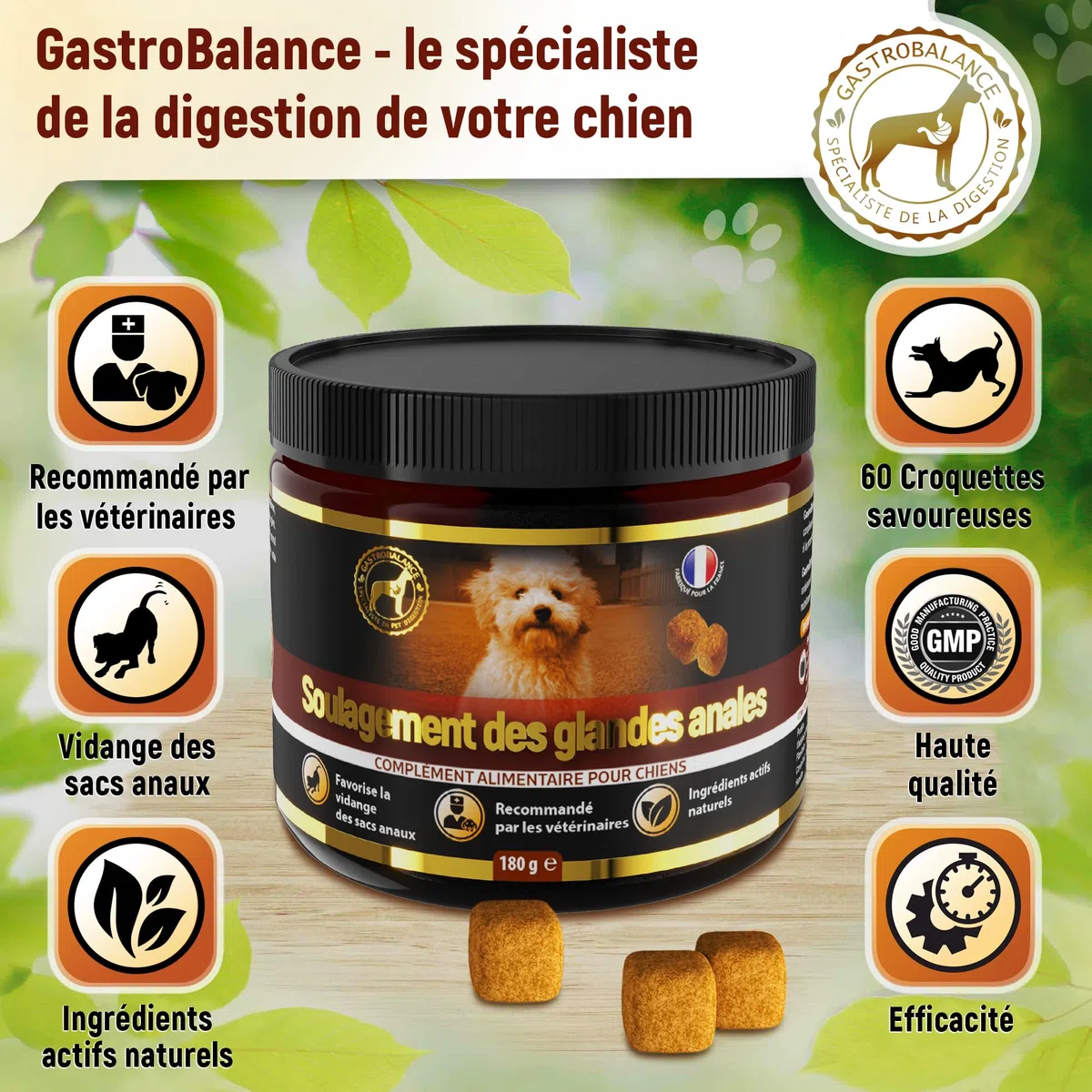 trattamento ghiandola cane - 60 crocchette che svuotano borse ghiandolari del cane - Gusto pollo (Italiano)