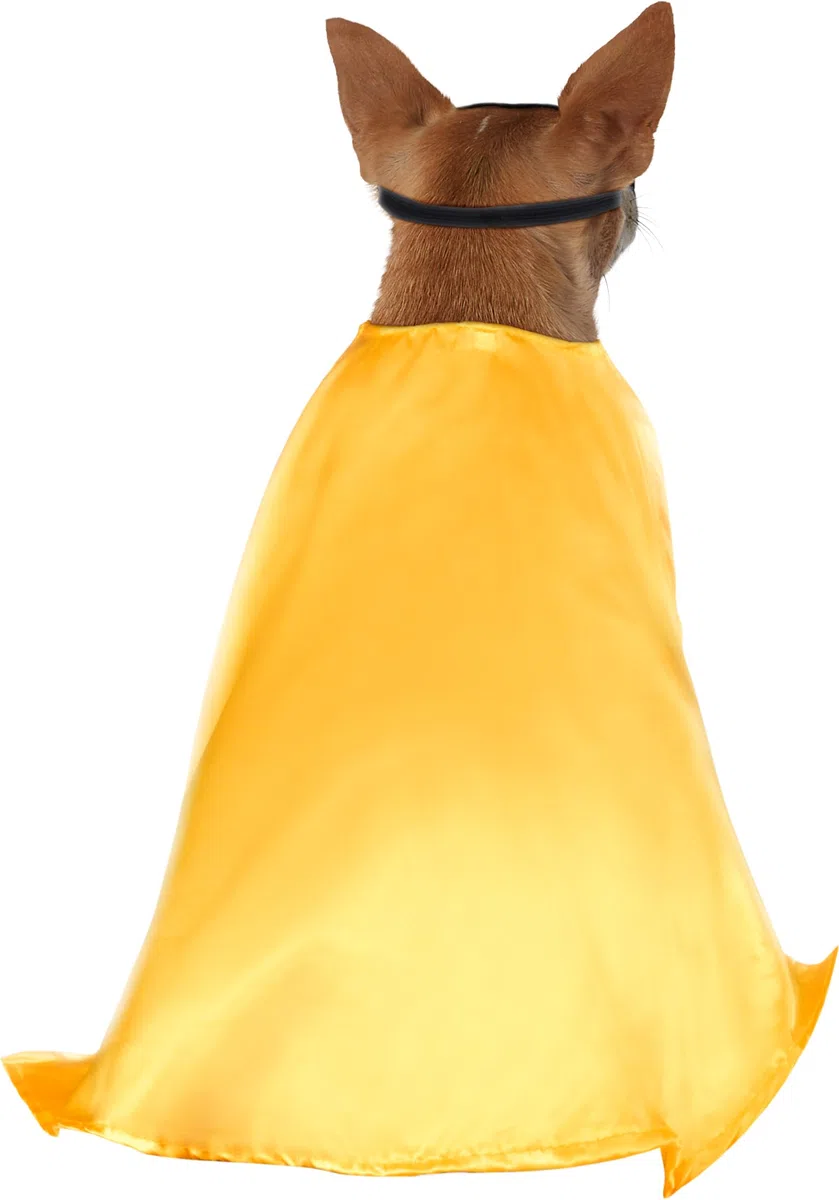 Rubie's Costume ufficiale da donna Rubie s DC Comic Robin Teen Titans Pet Dog Costume Super Hero Taglia L, come da mostrare, L UK