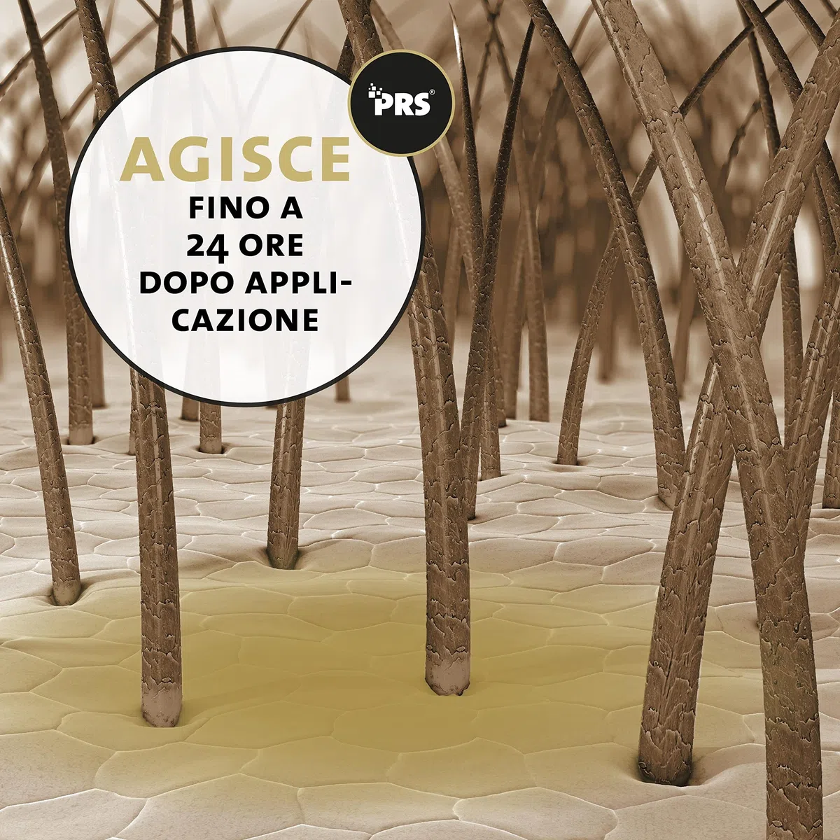 Peticare Nero Mosche Stop Cavallo Spray Anti Mosca Nera - Blocca Efficacemente, Difesa Contro Simulidi, Attivo Fino a 24 Ore, Prevenire Efficacemente Dermatite Estiva e Eczema - petAnimal Protect 2001